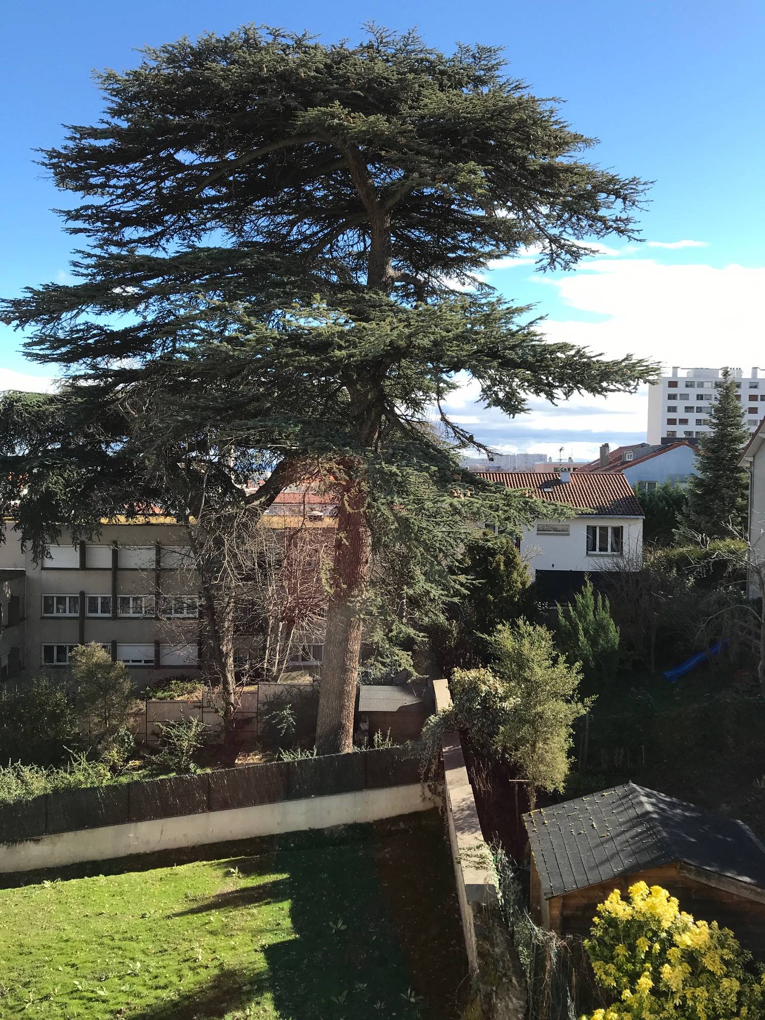 Une photo de l’annonce