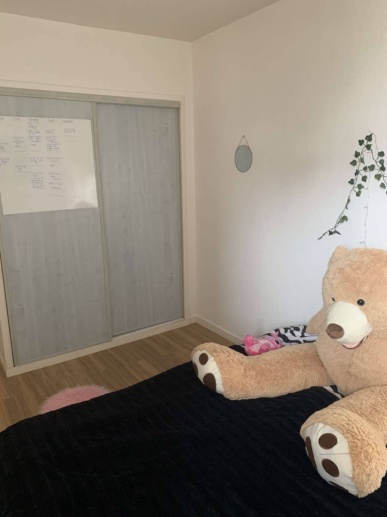 Une photo de l’annonce