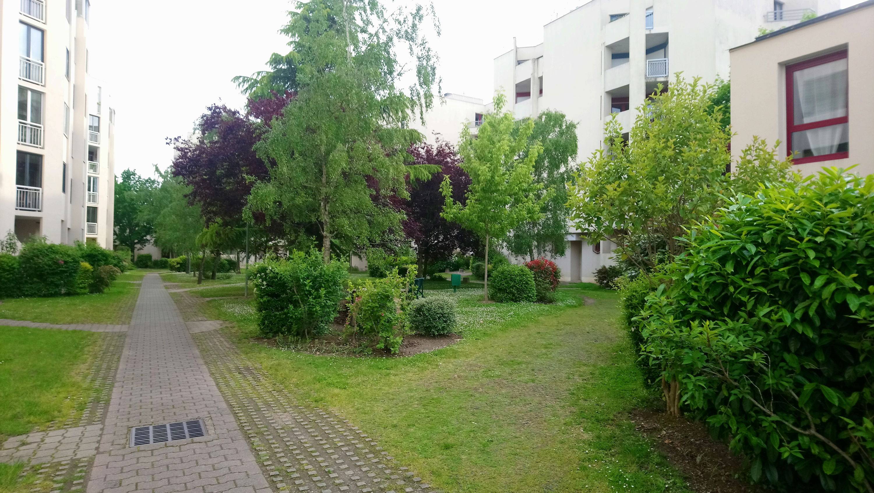 Une photo de l’annonce