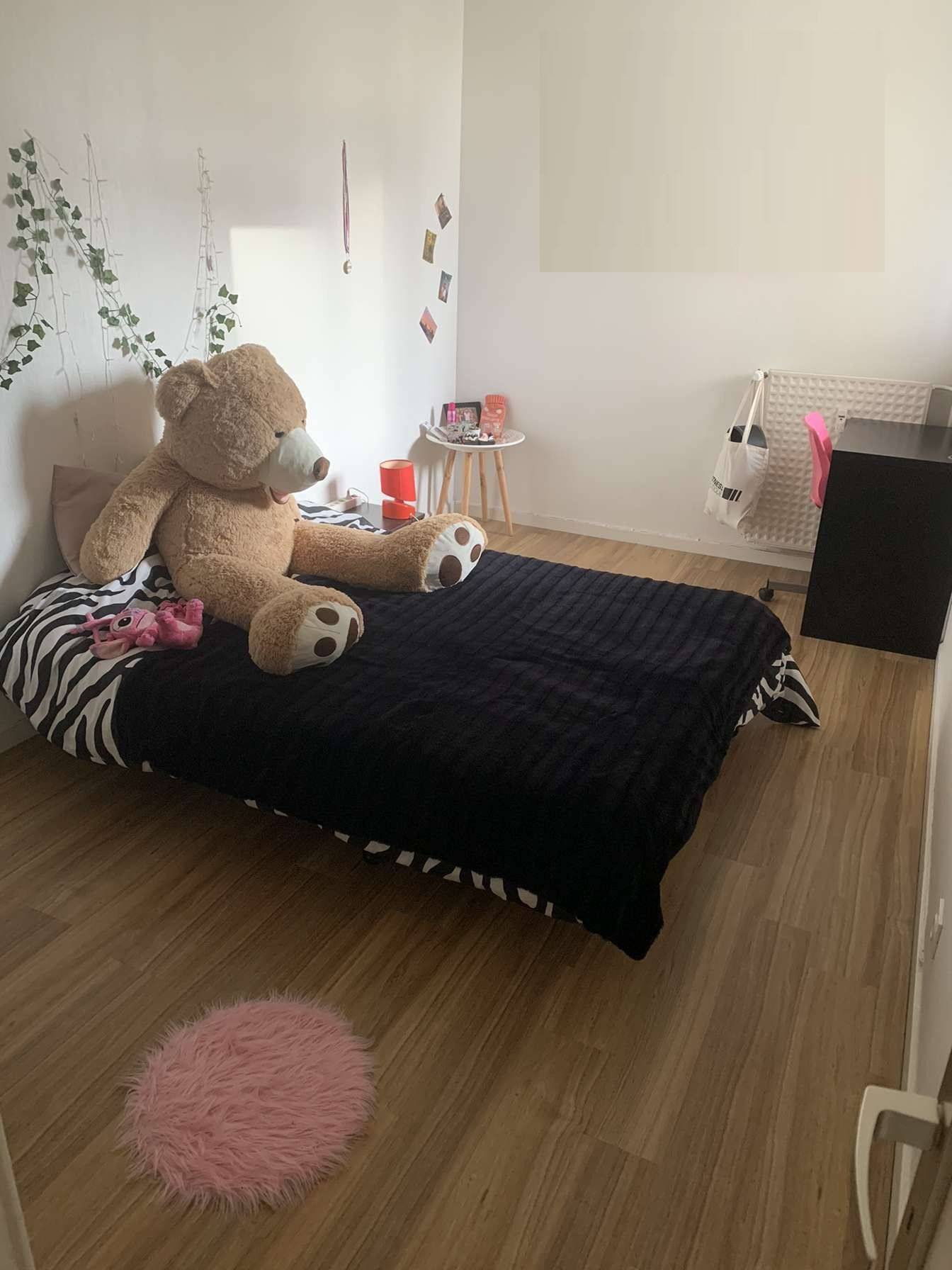 Une photo de l’annonce