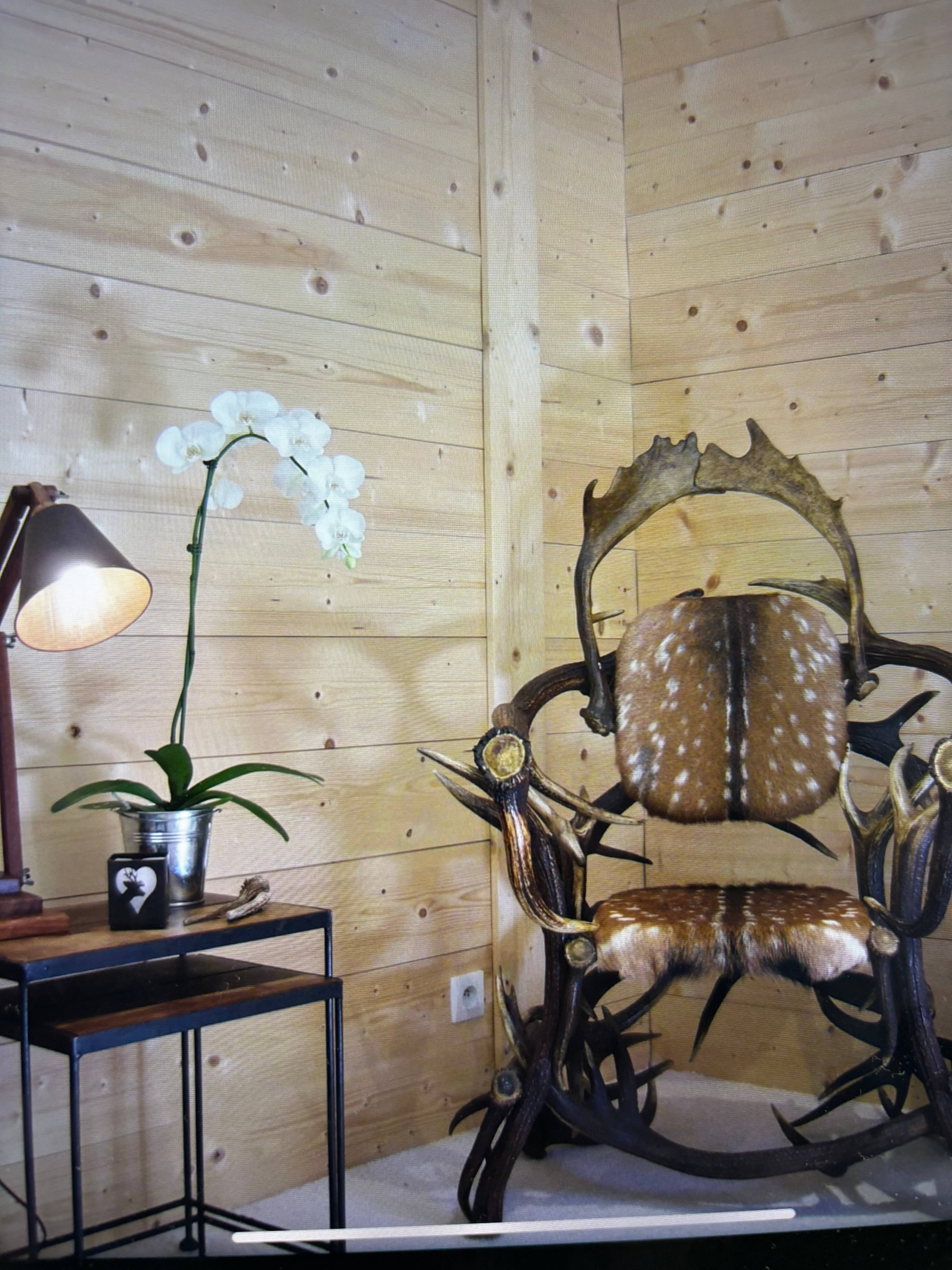 Une photo de l’annonce de location de vacances