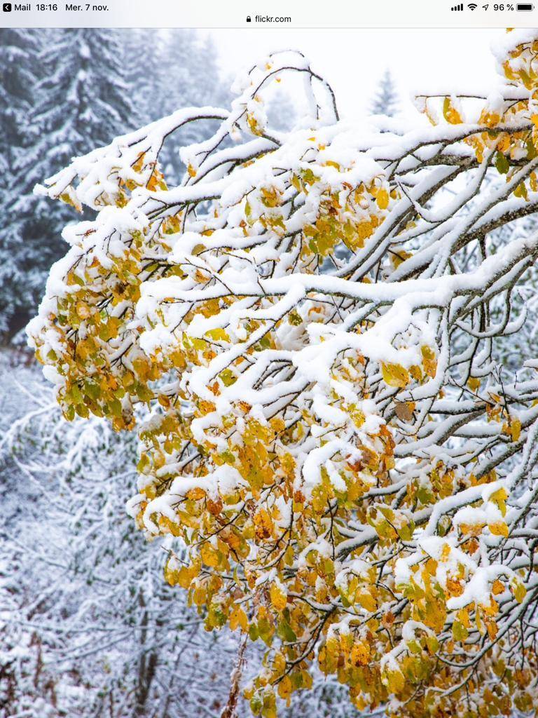 Une photo de l’annonce de location de vacances