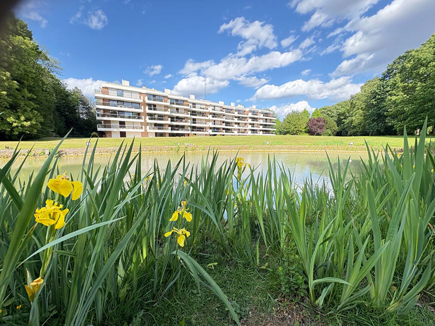 Une photo de l’annonce