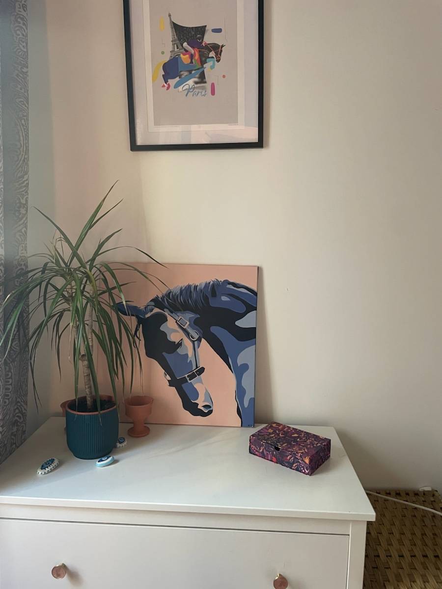 Une photo de l’annonce