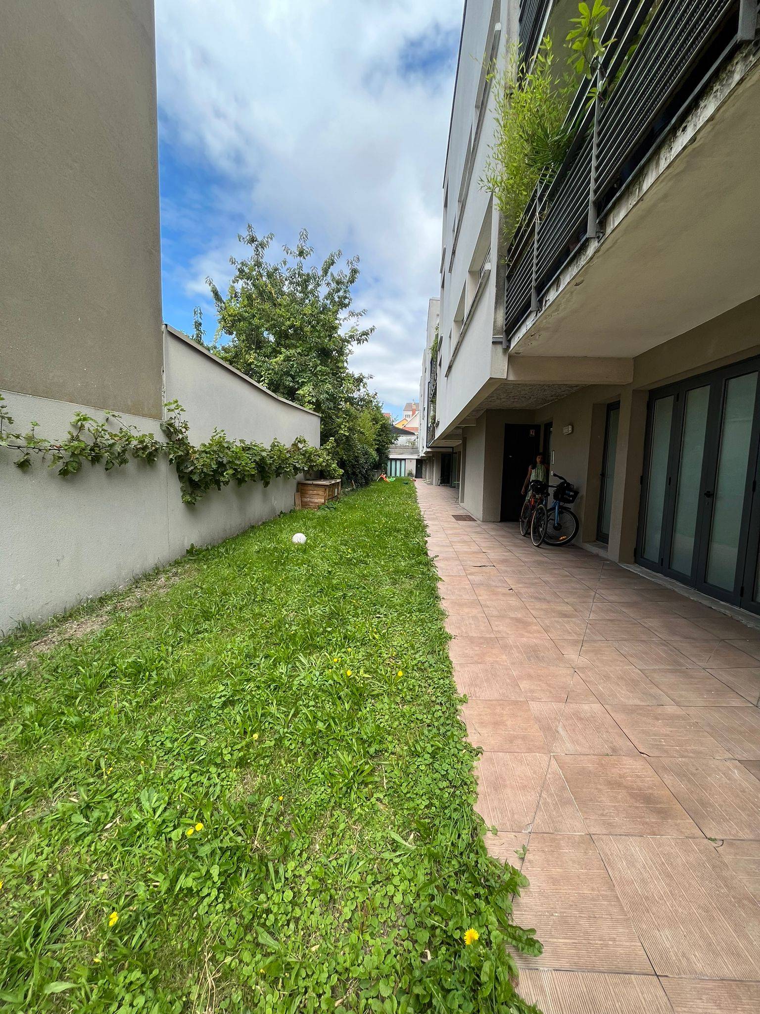 Une photo de l’annonce