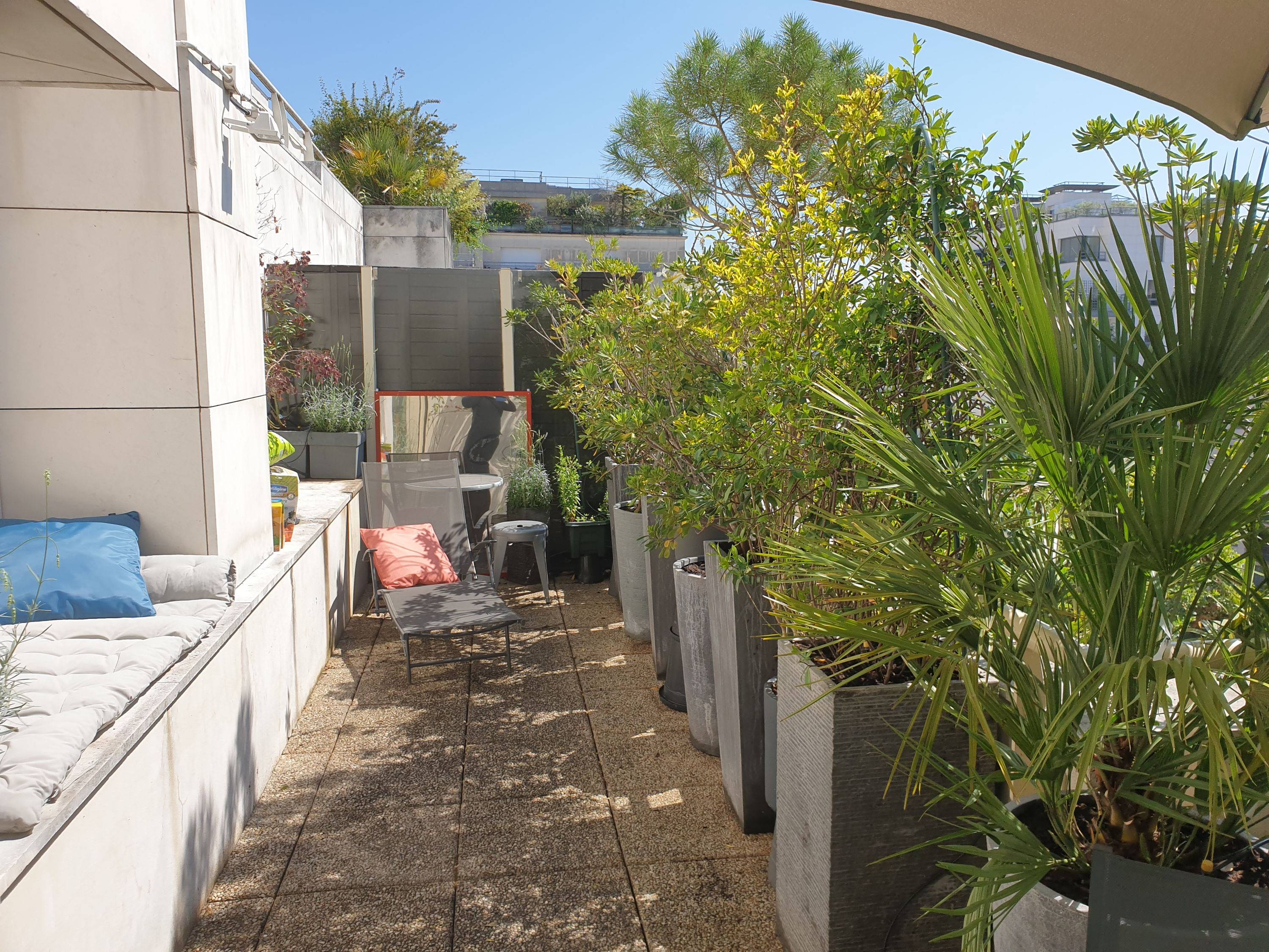 Une photo de l’annonce