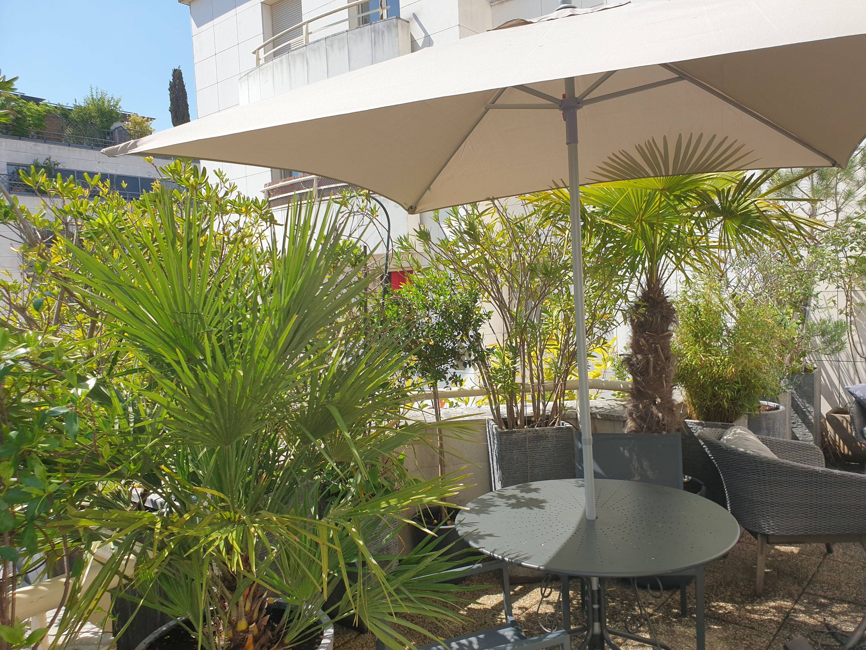 Une photo de l’annonce