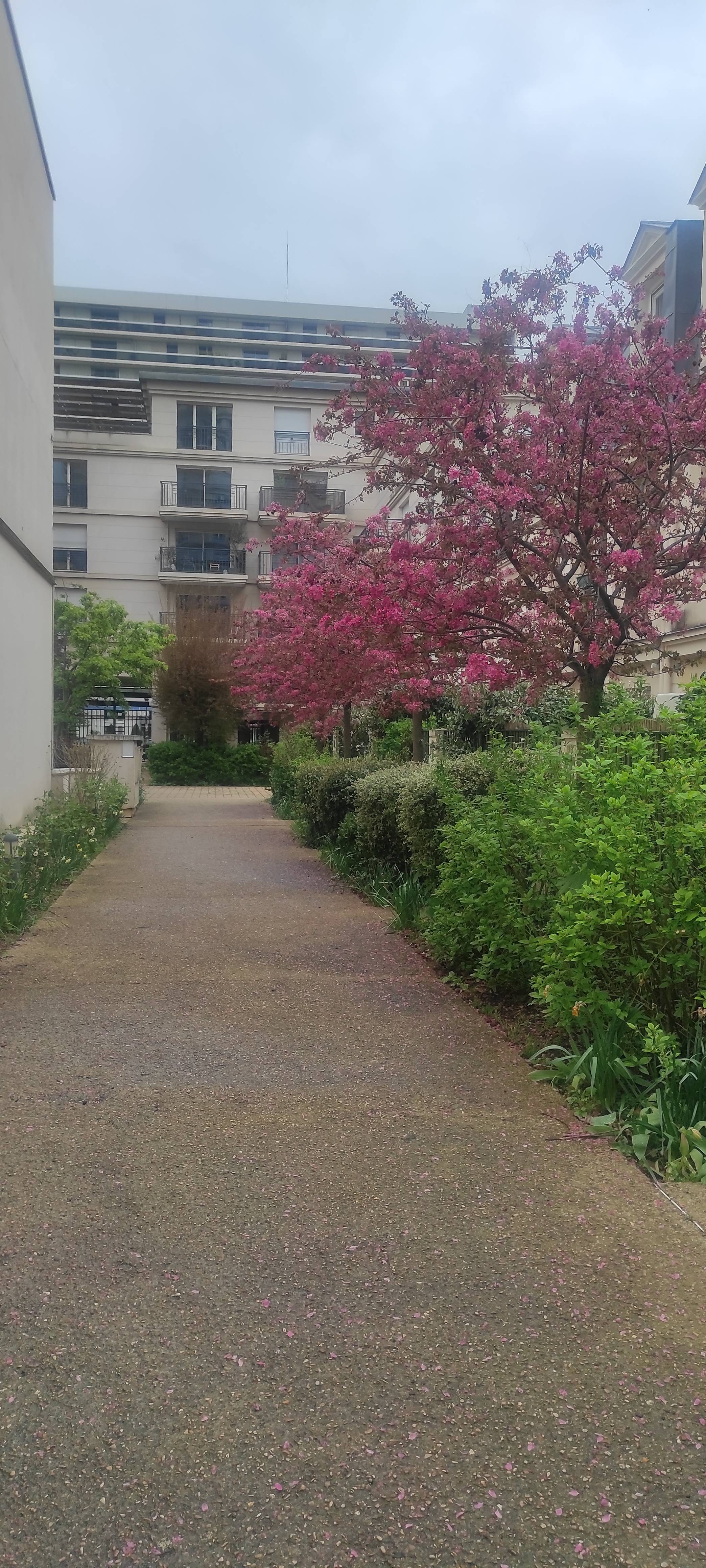 Une photo de l’annonce