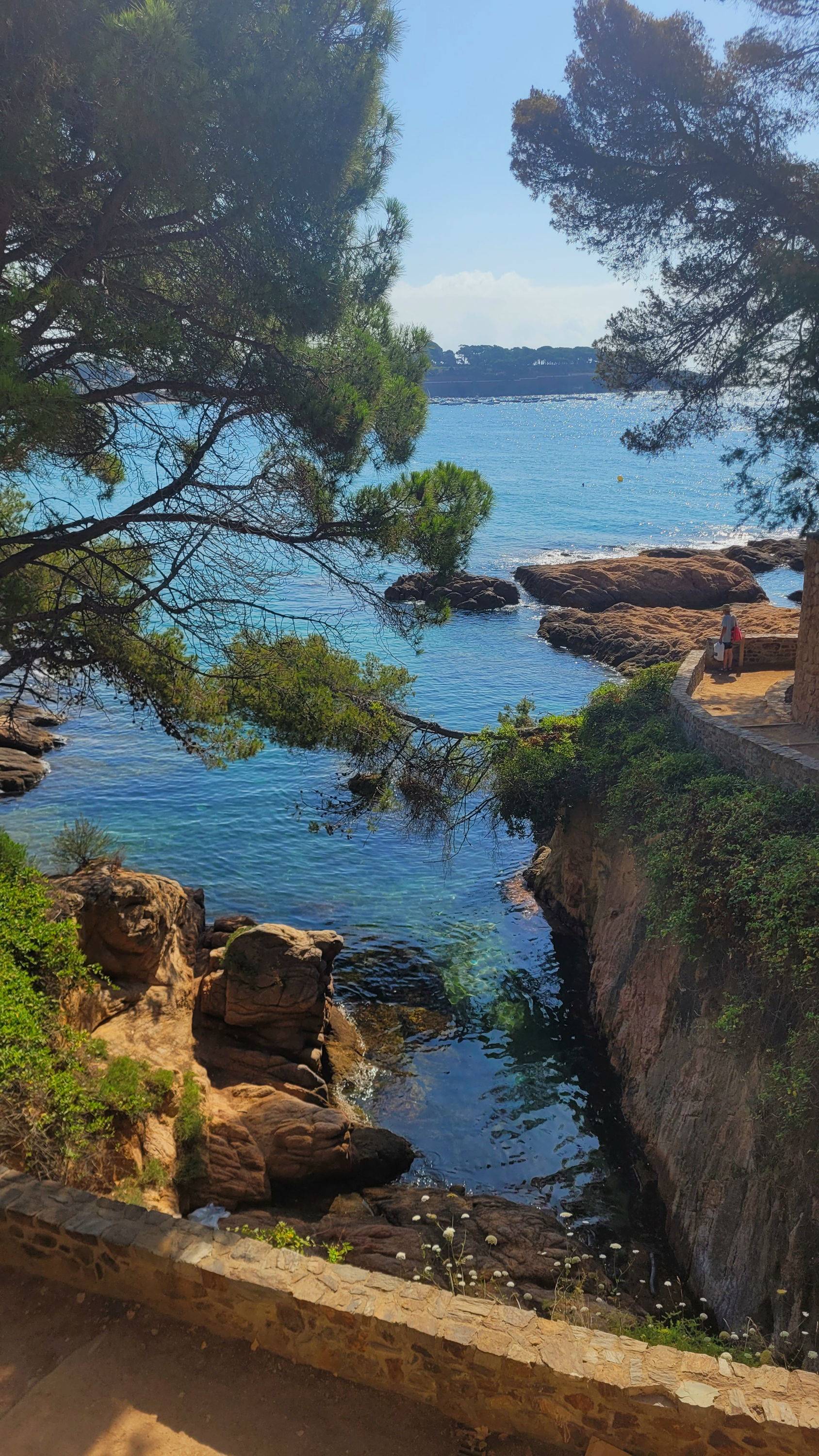 Une photo de l’annonce de location de vacances