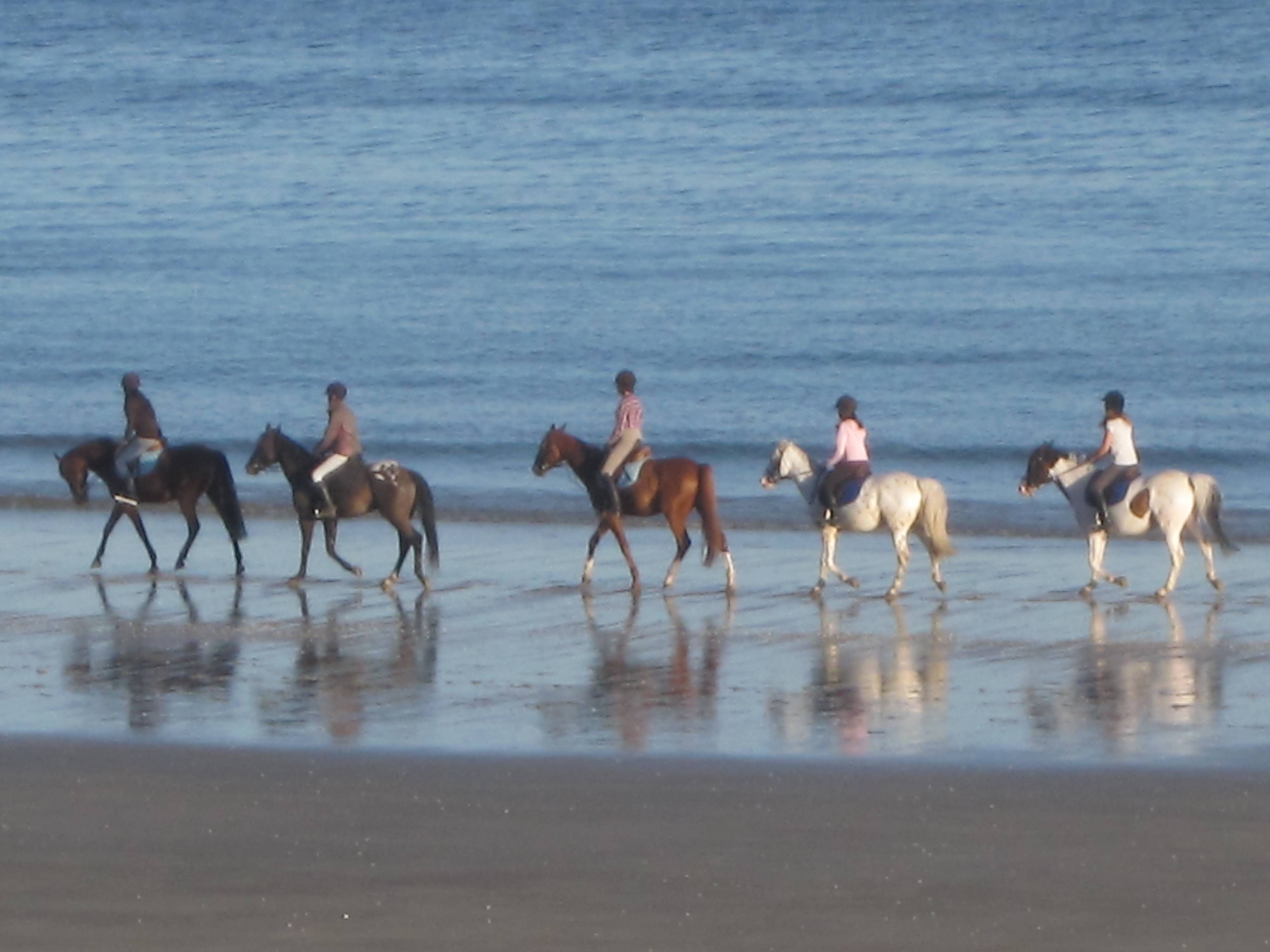 Une photo de l’annonce de location de vacances