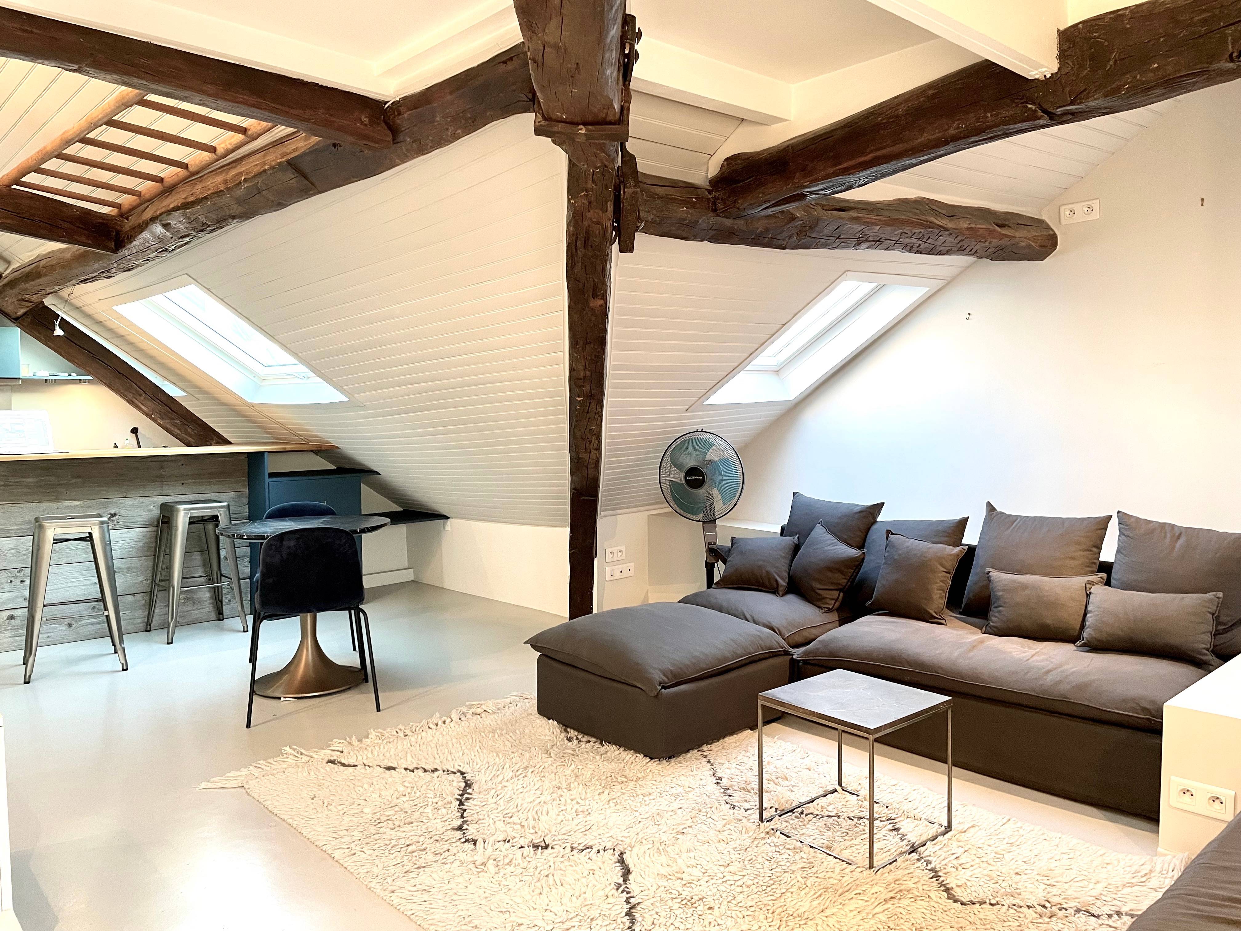 Loue très joli studio 44m² (57m² au sol) - rue de Trévise - Paris 9ème