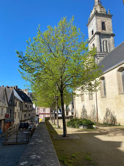 Loue Appartement à Vannes (56) - 1 chambre, 30m²