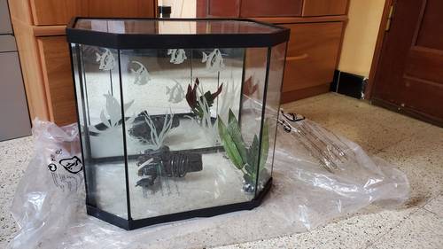 Vends forme trapèze aquarium design neuf 40L