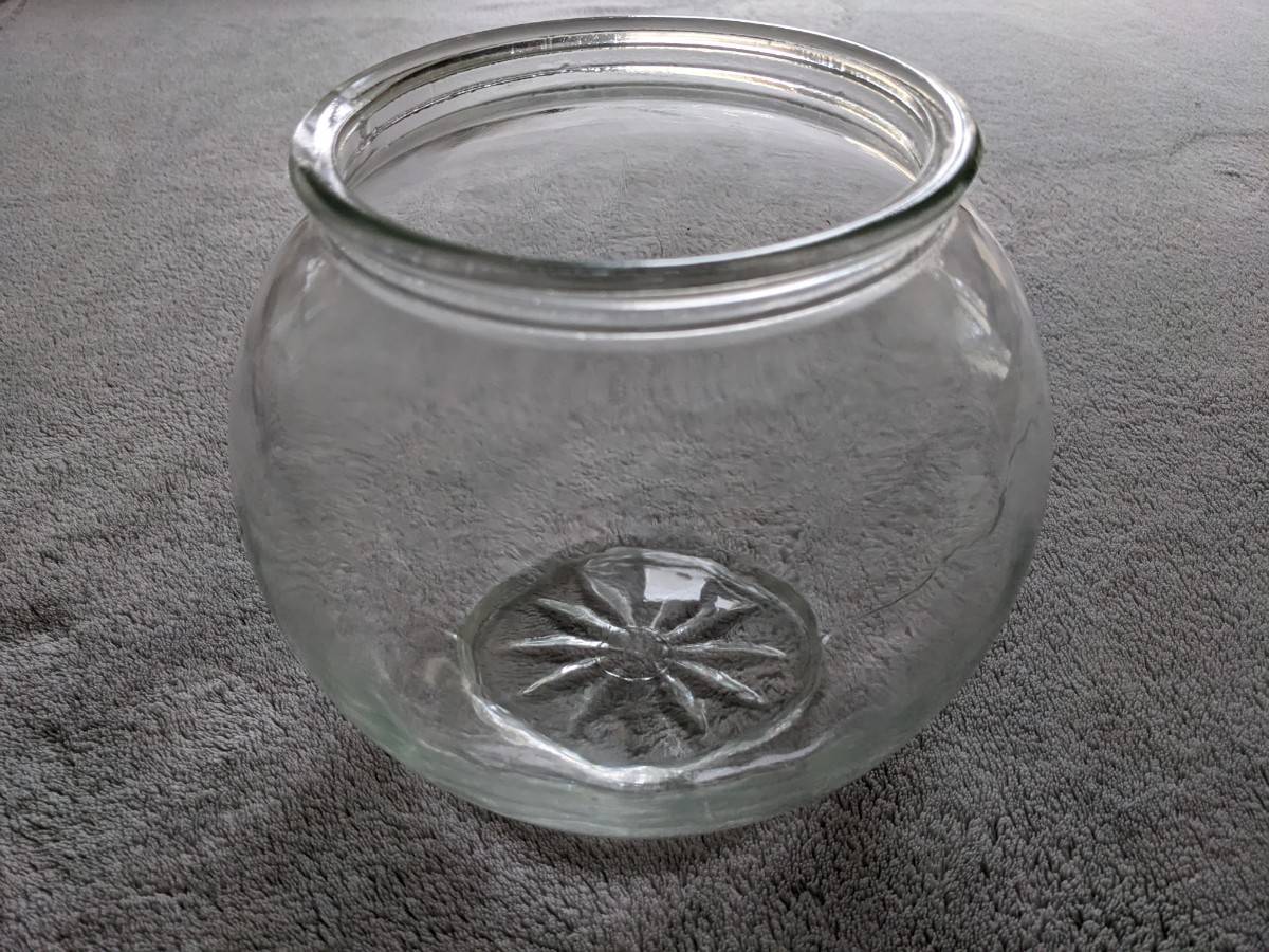 Aquarium ou terrarium ou vase en verre transparent