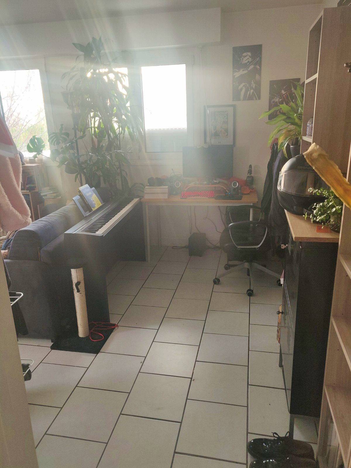 Une photo de l’annonce