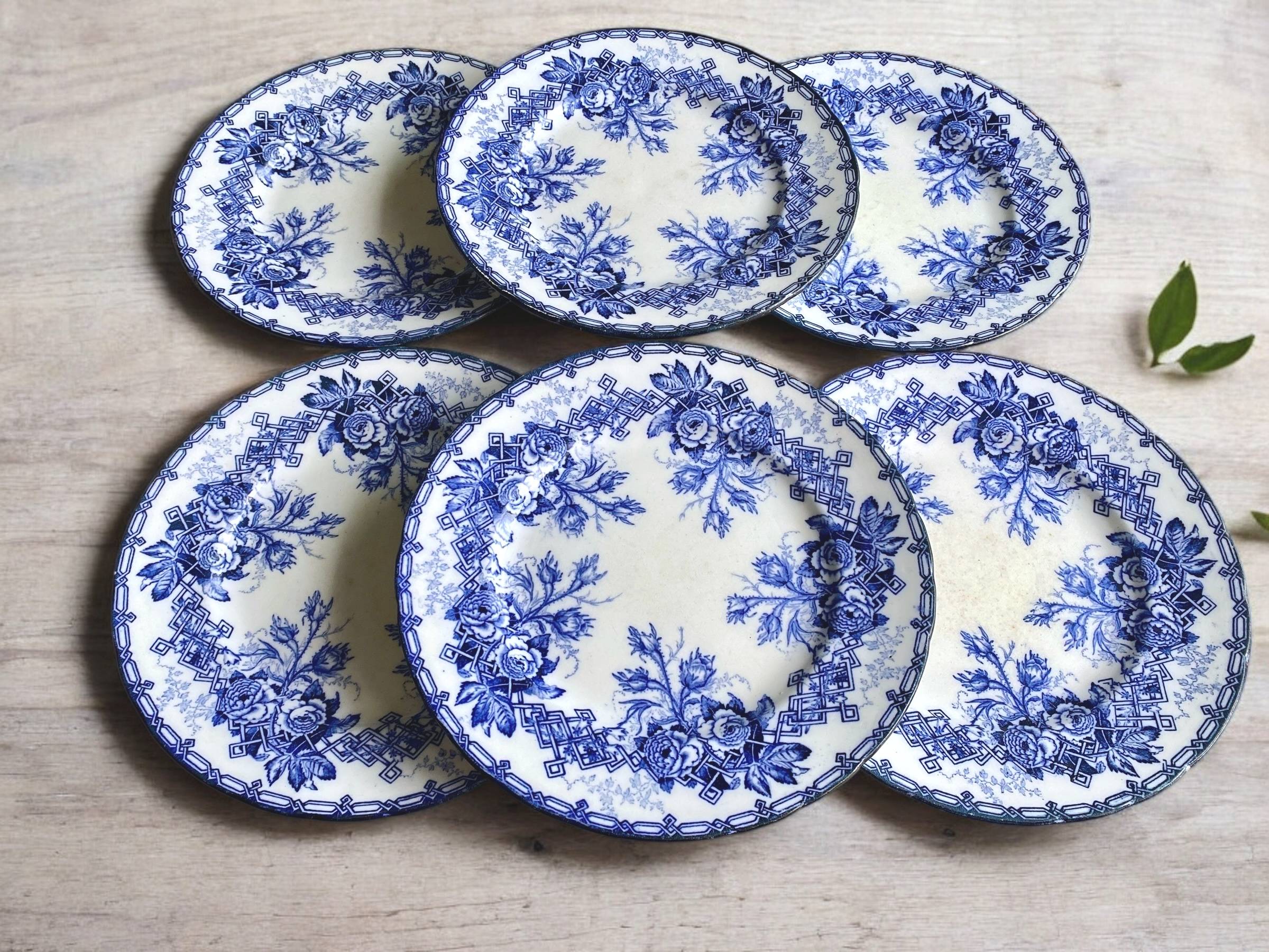 Vends 6 assiettes plates en faïence Creil et Montereau fin XIXème décor Flora