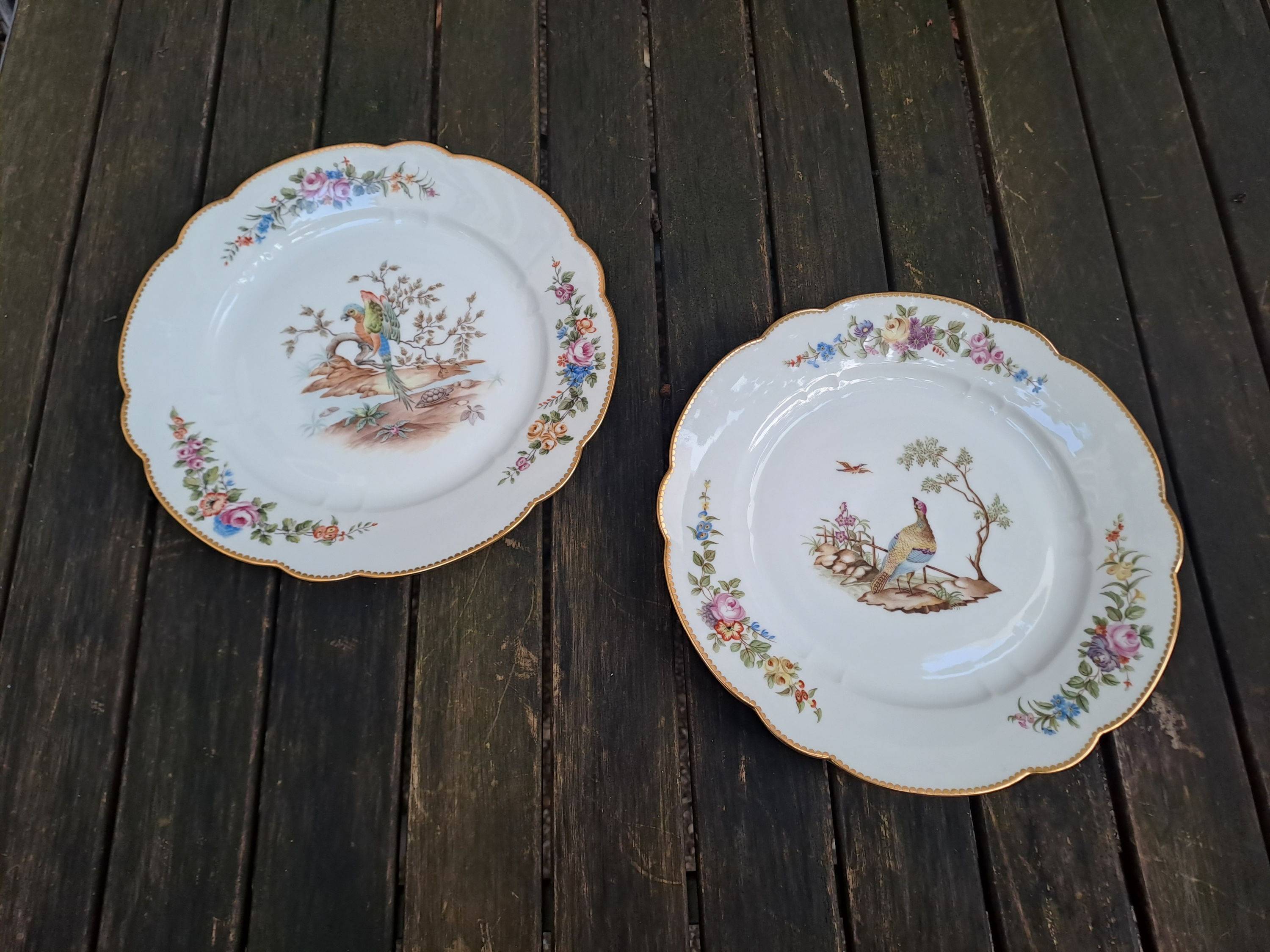 Lot D'Assiettes Plates En Porcelaine - Deux Assiettes En Porcelaine