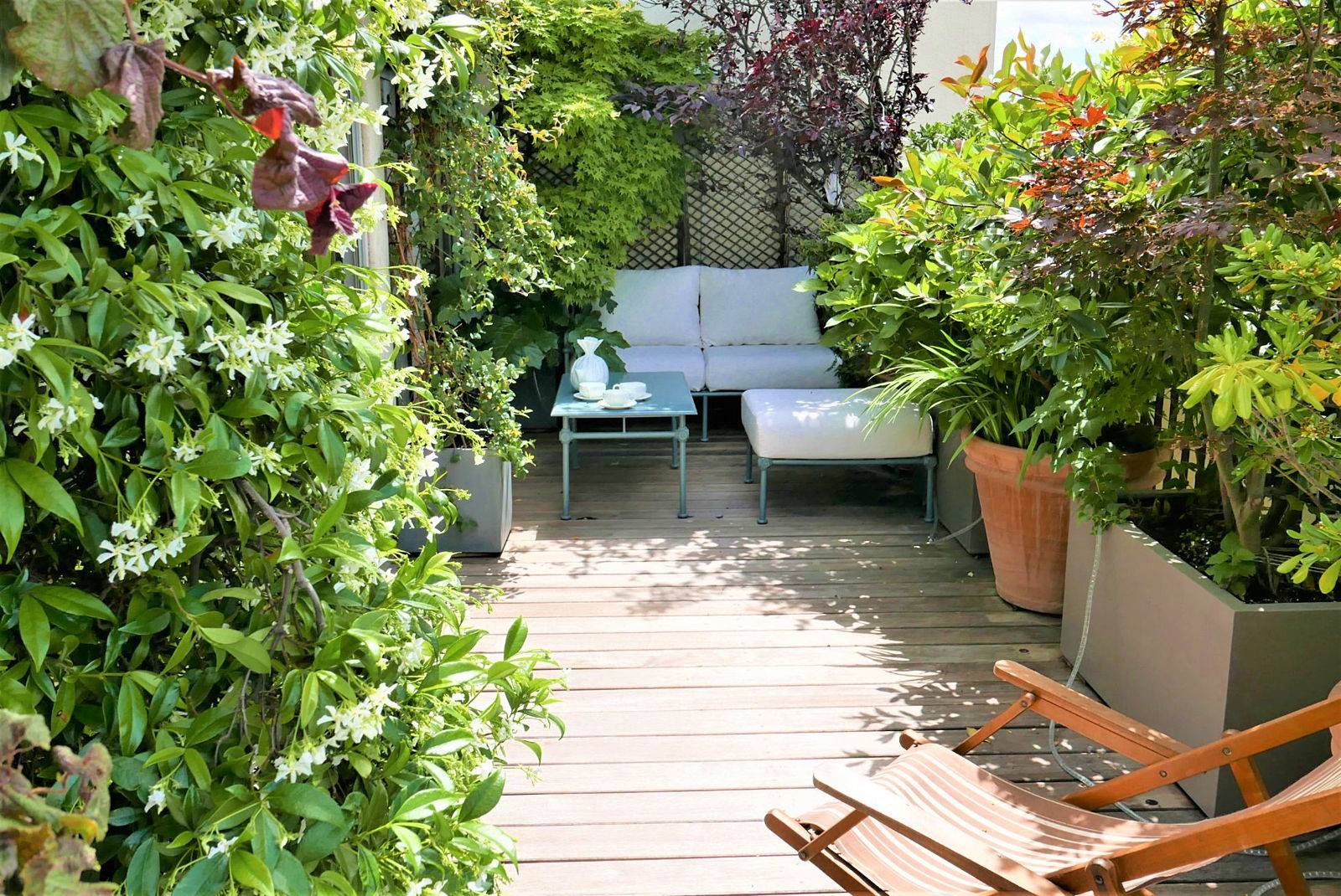 Une photo de l’annonce