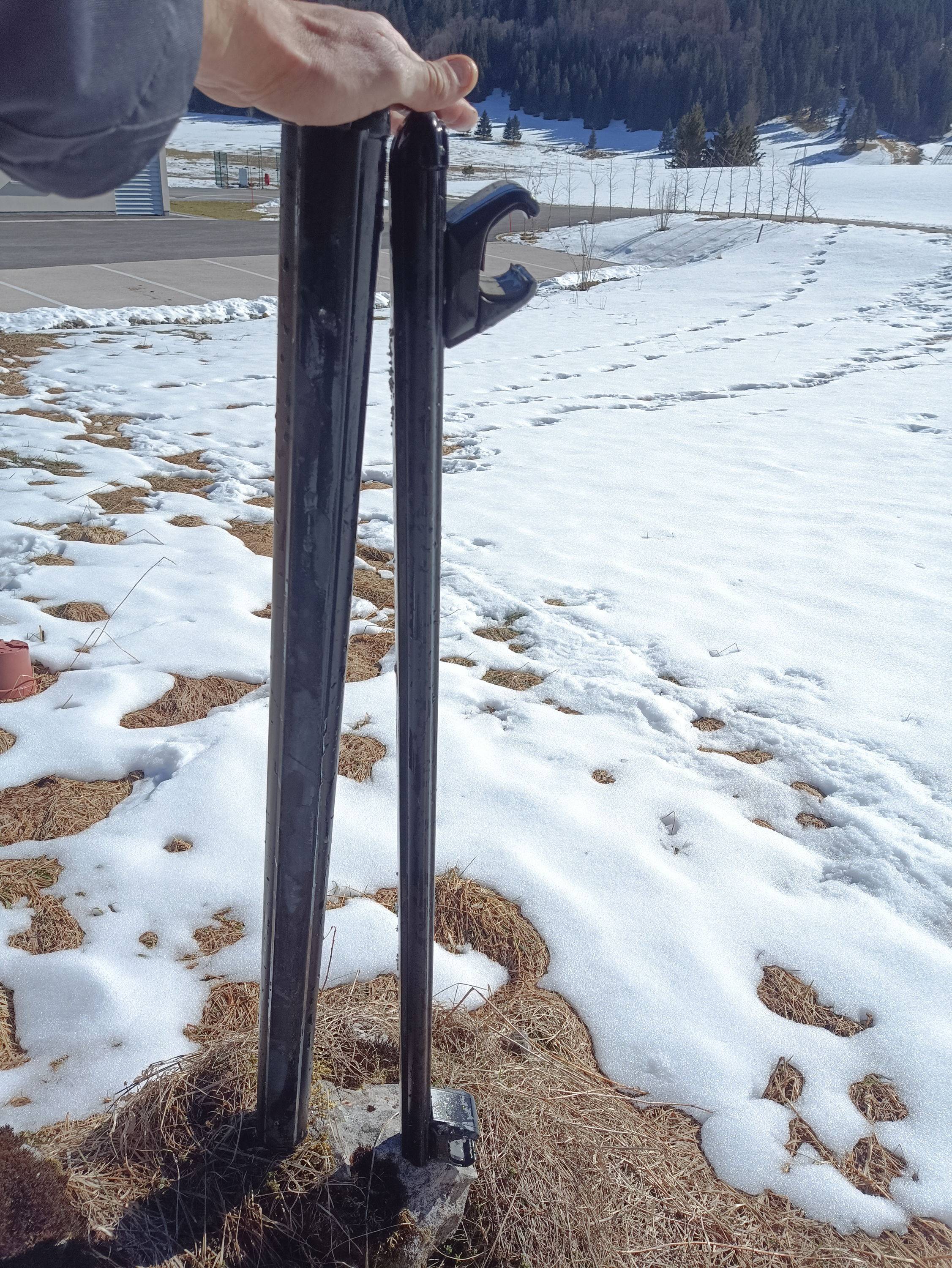 Barres de ski pour Scénic 3 très peu utilisées