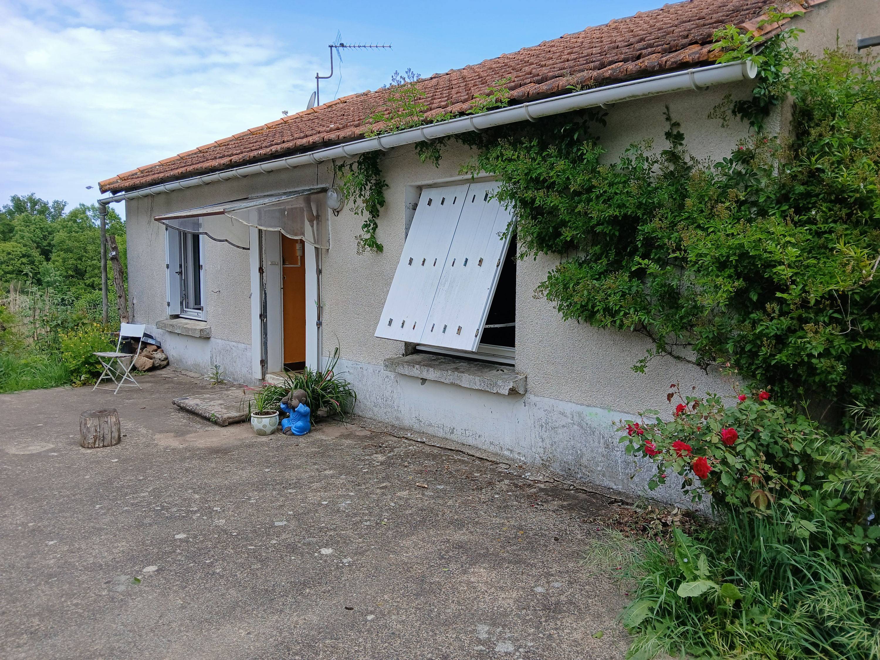 Une photo de l’annonce