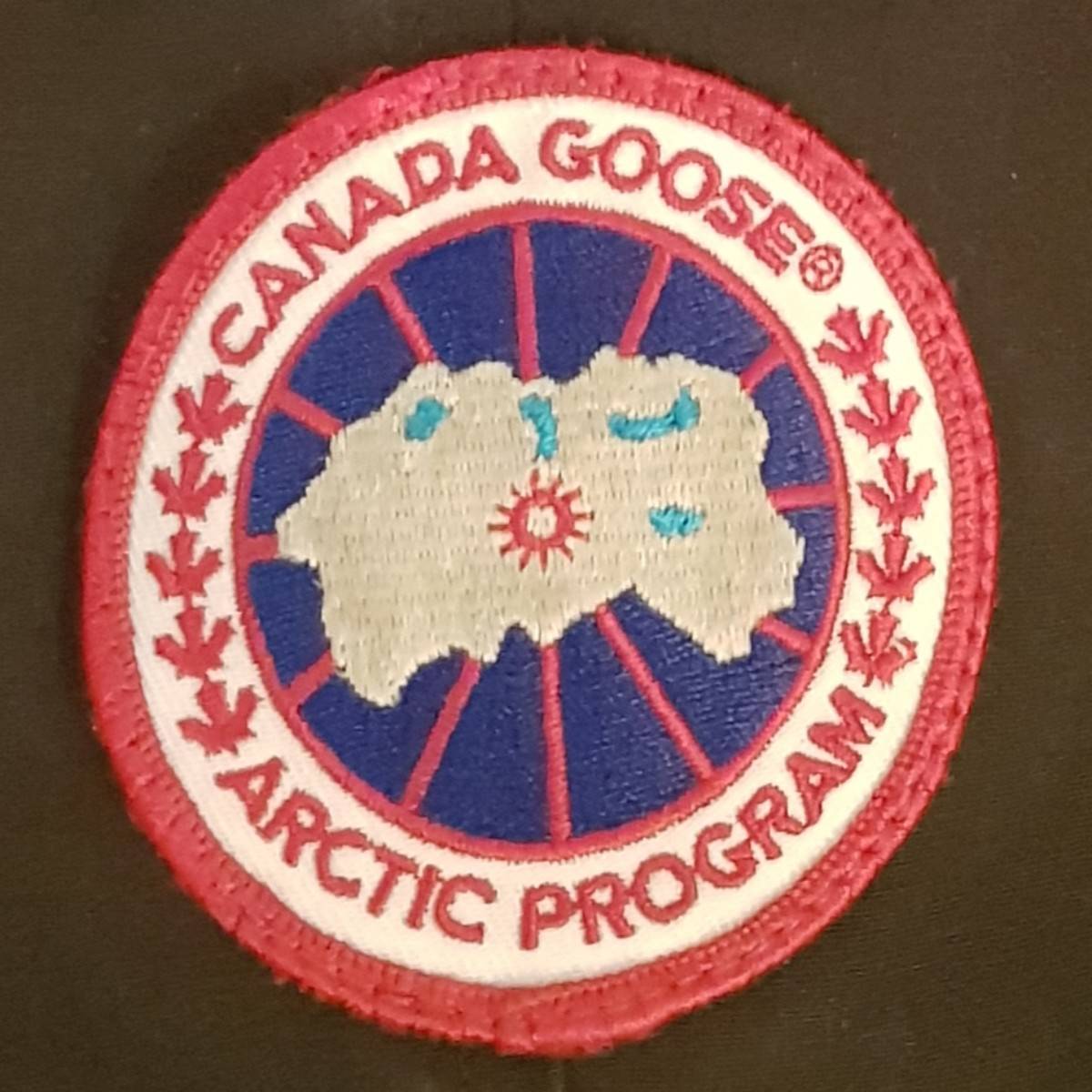 Blouson aviateur Canada Goose - taille 34 / 12 ans