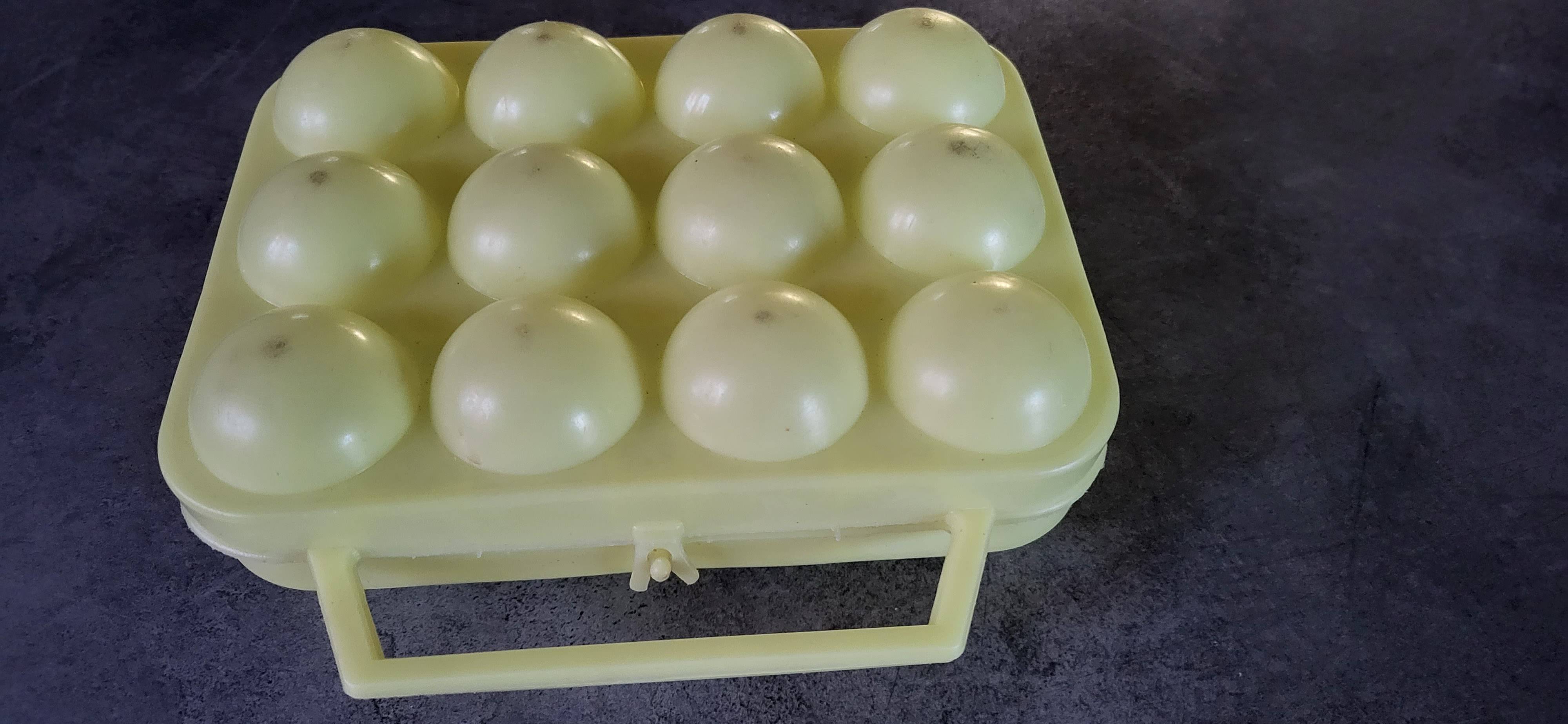 Boîte de rangement pour œufs Hausfelder, Boîte à œufs pour 10 œufs Boîte de rangement pour œufs Hausfelder, Boîte à œufs pour 10 œufs