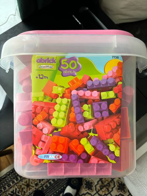 Lot de Brick en plastique 12 mois et plus
