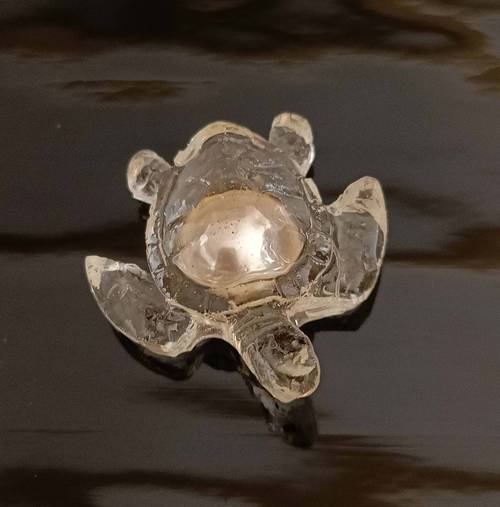 Broche ou pendentif Tortue Perle