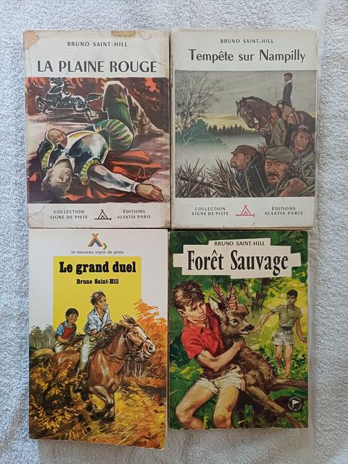 Bruno Saint-Hill - Série Nampilly