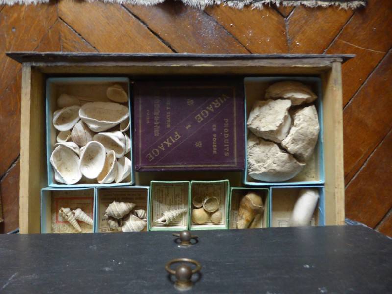 Cabinet minéralogique Alexandre Stuer avec ancienne collection de specimens dans leurs boîtes