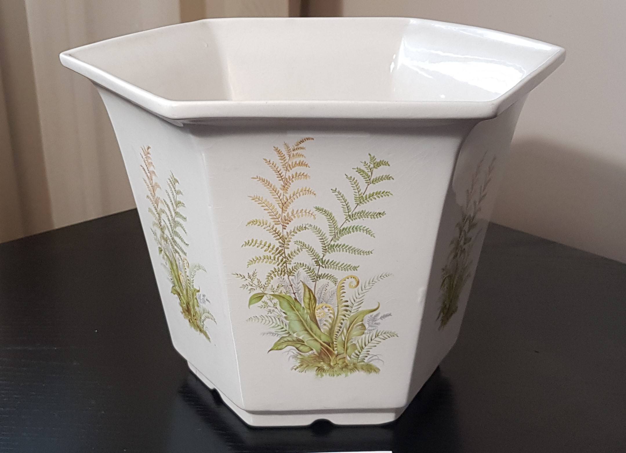 Cache Pot "Fougères"