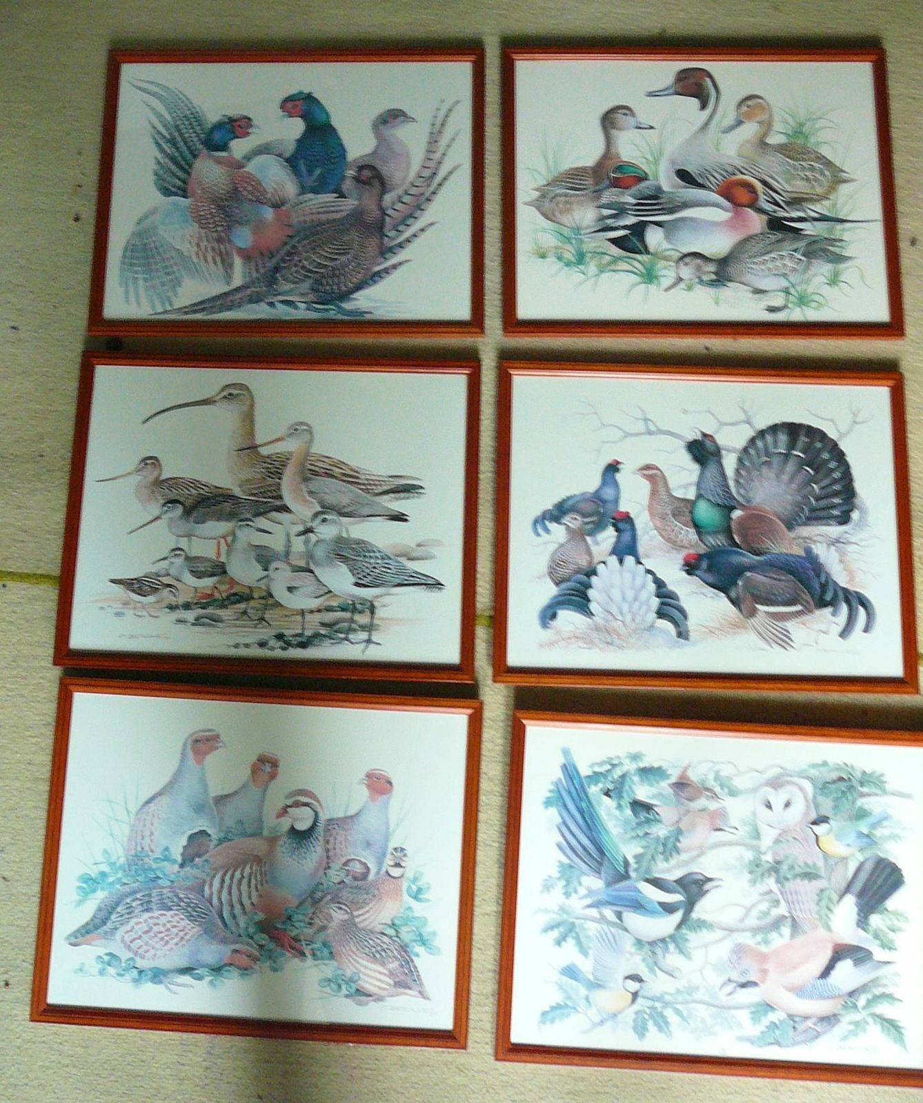 Cadres "Les oiseaux"