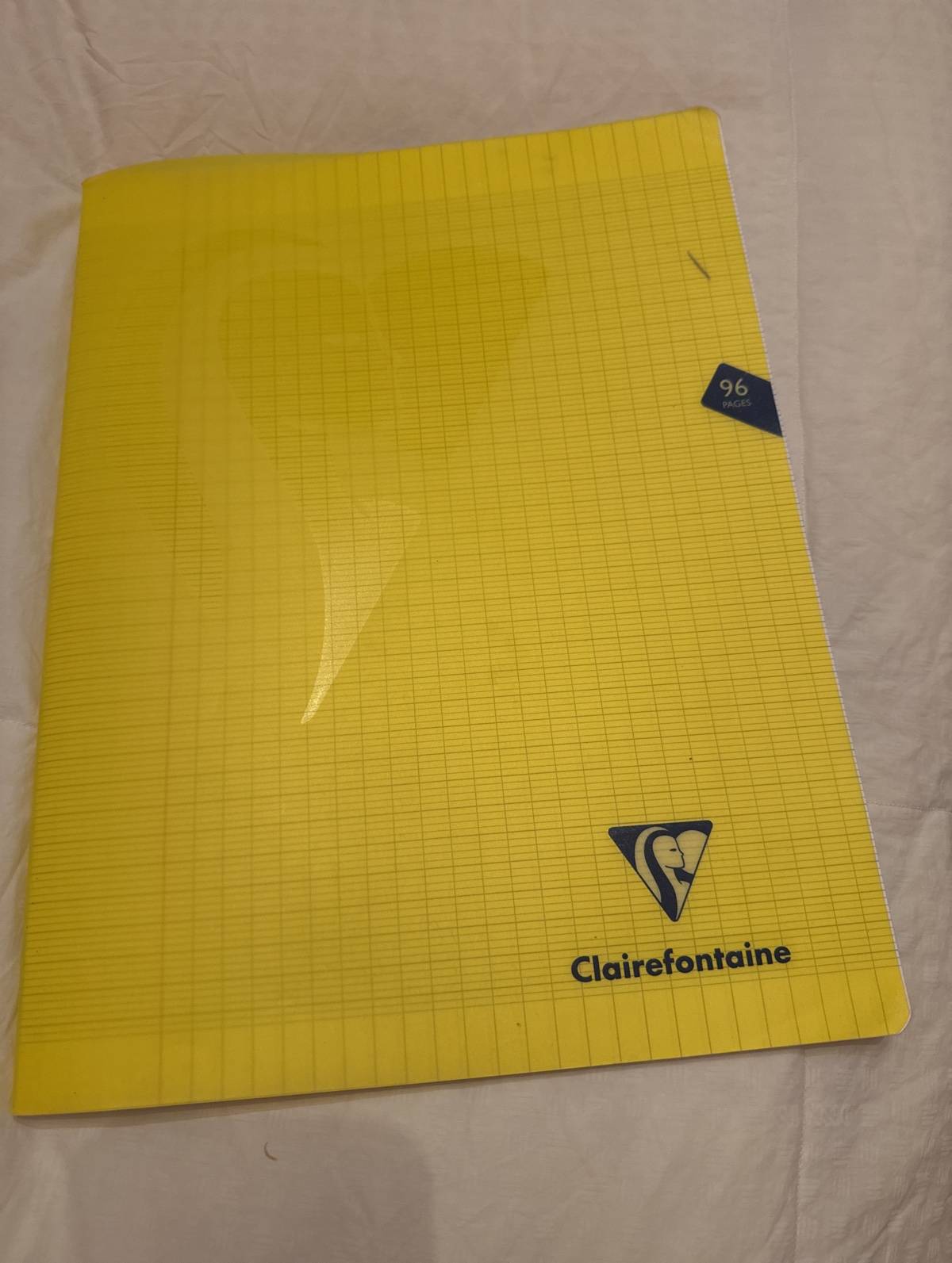 Cahier Clairefontaine 96 pages 24x32 cm grands carreaux