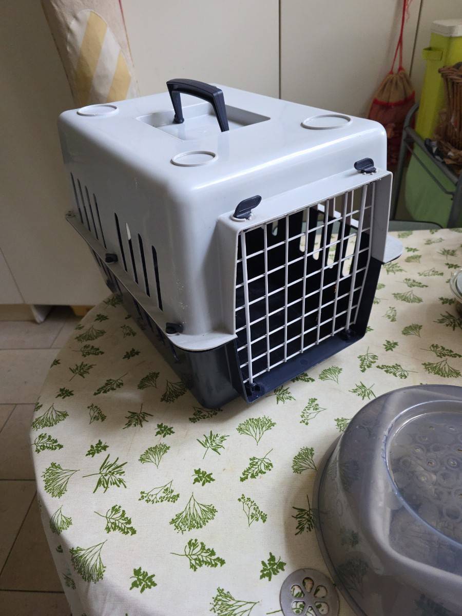Caisse de transport Chat