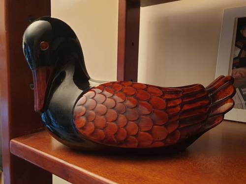 Canard décoratif