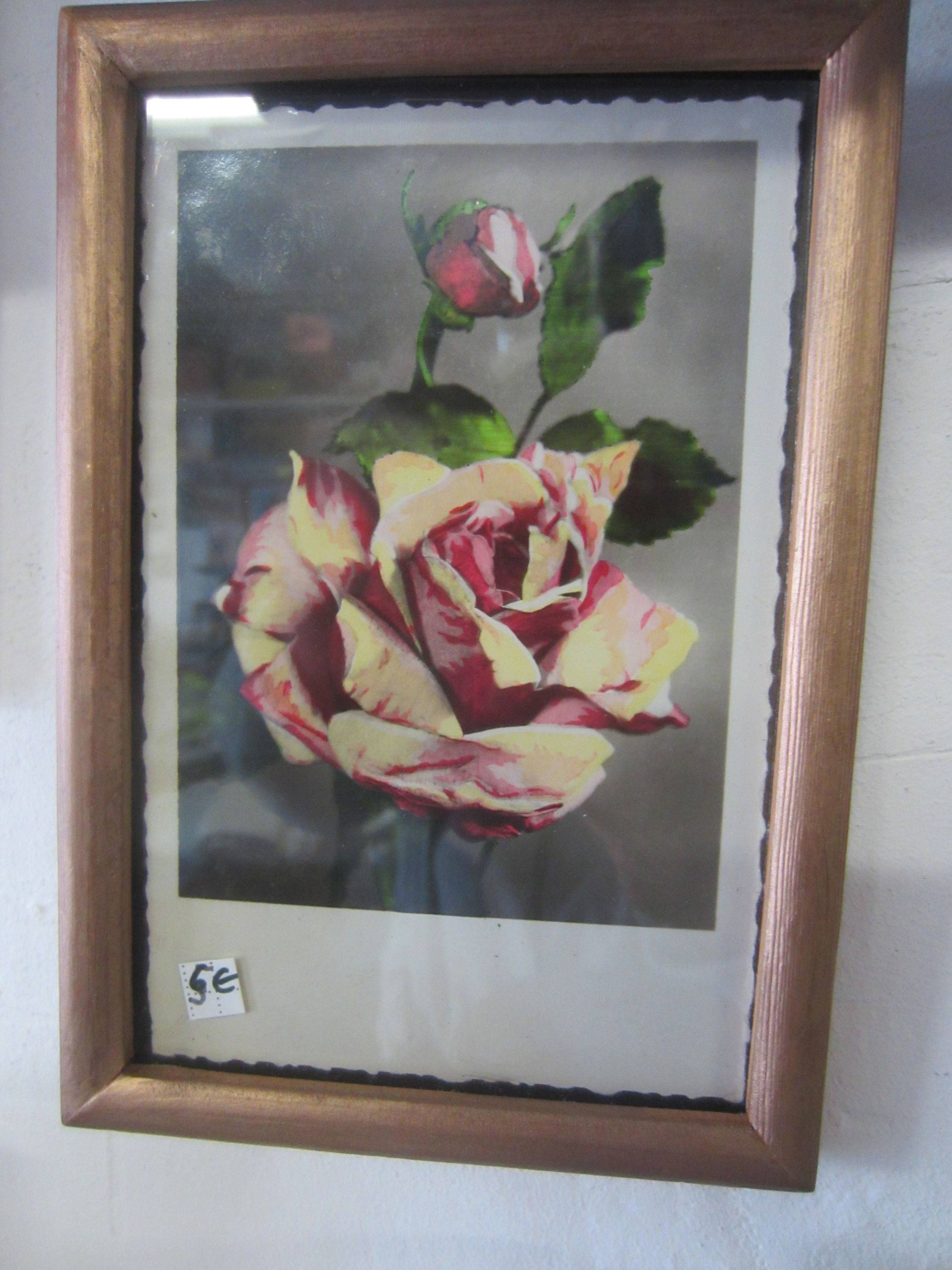 Cartes anciennes florales joliment encadrées