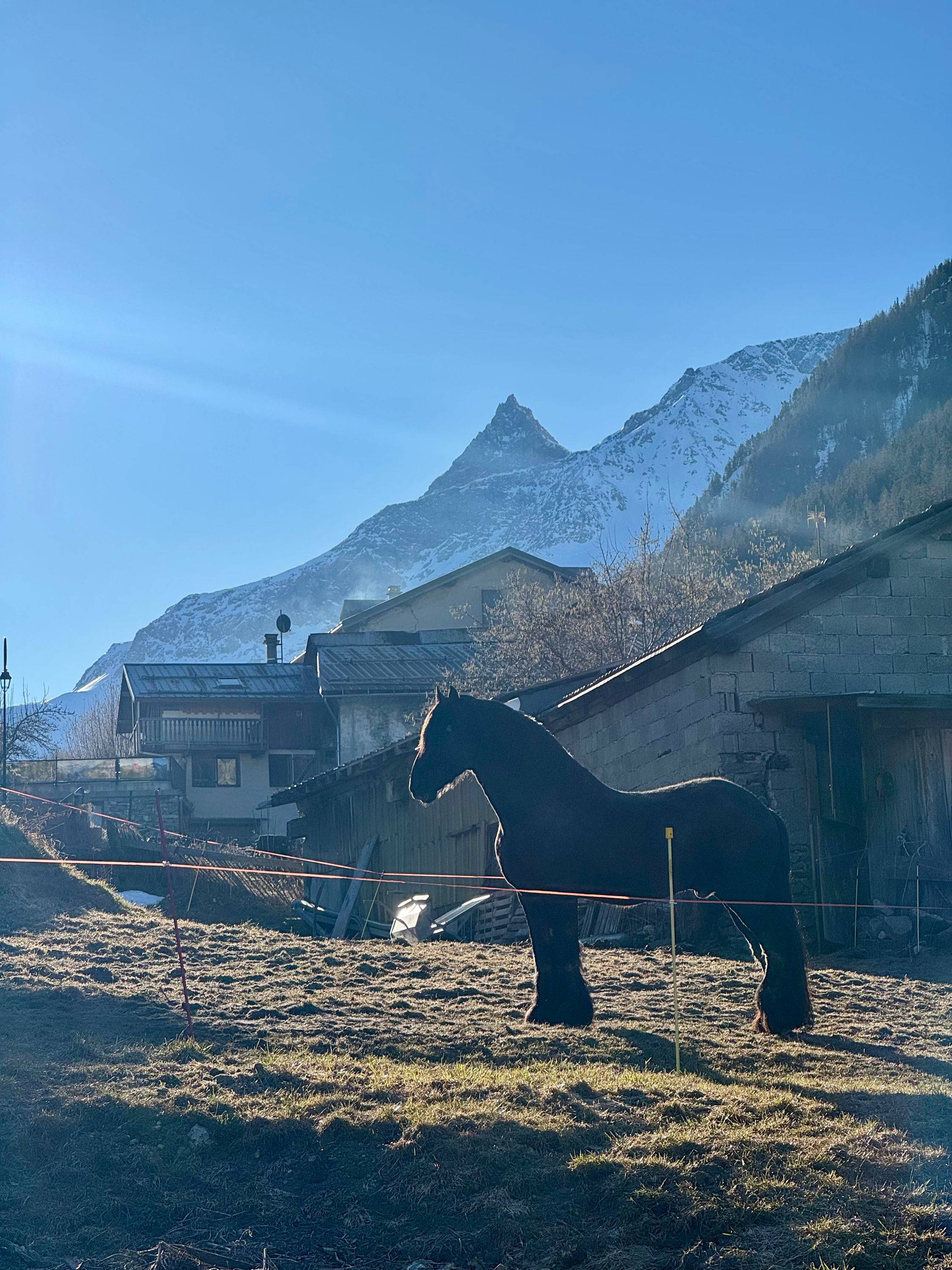 Une photo de l’annonce de location de vacances