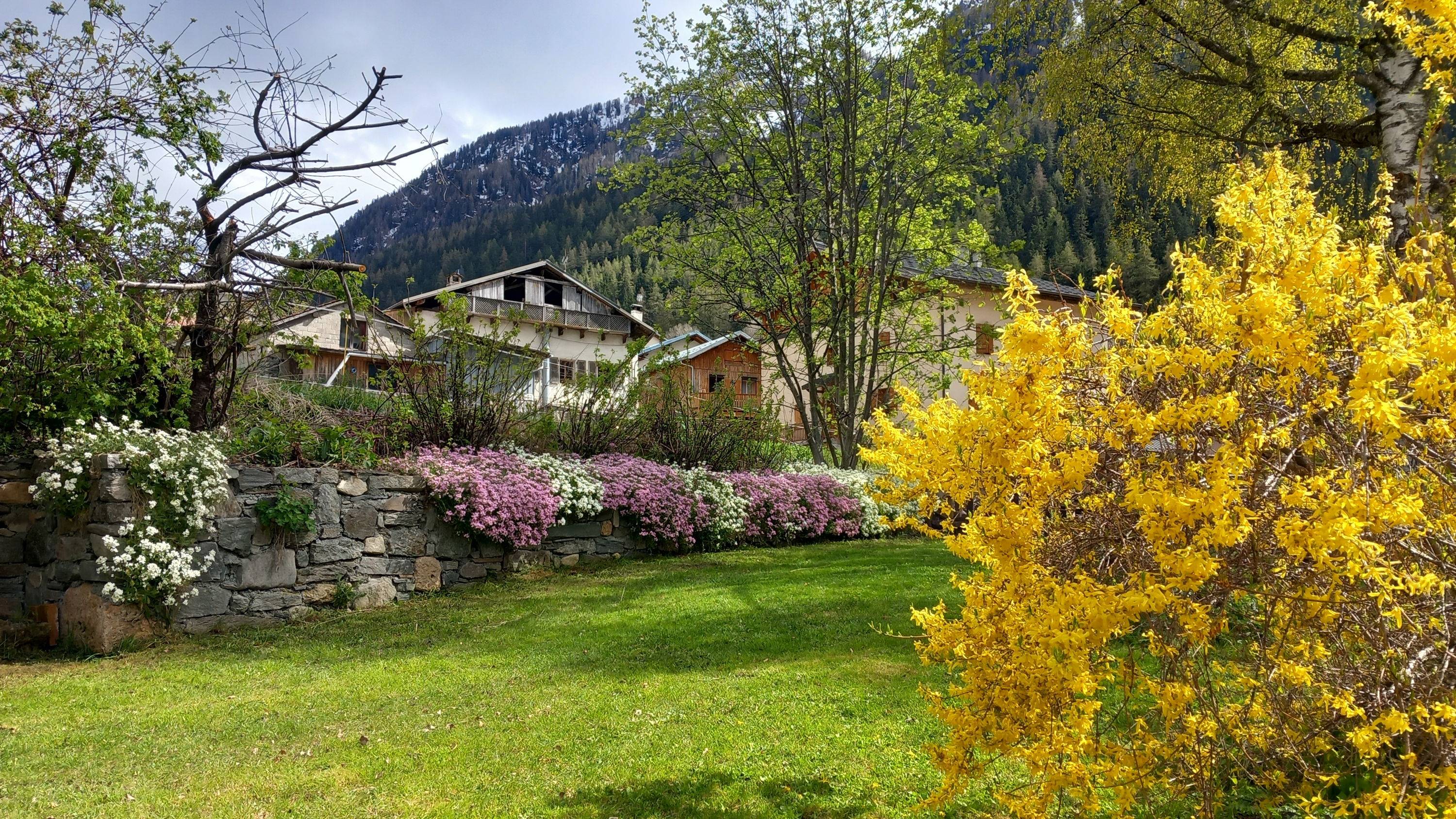 Une photo de l’annonce de location de vacances