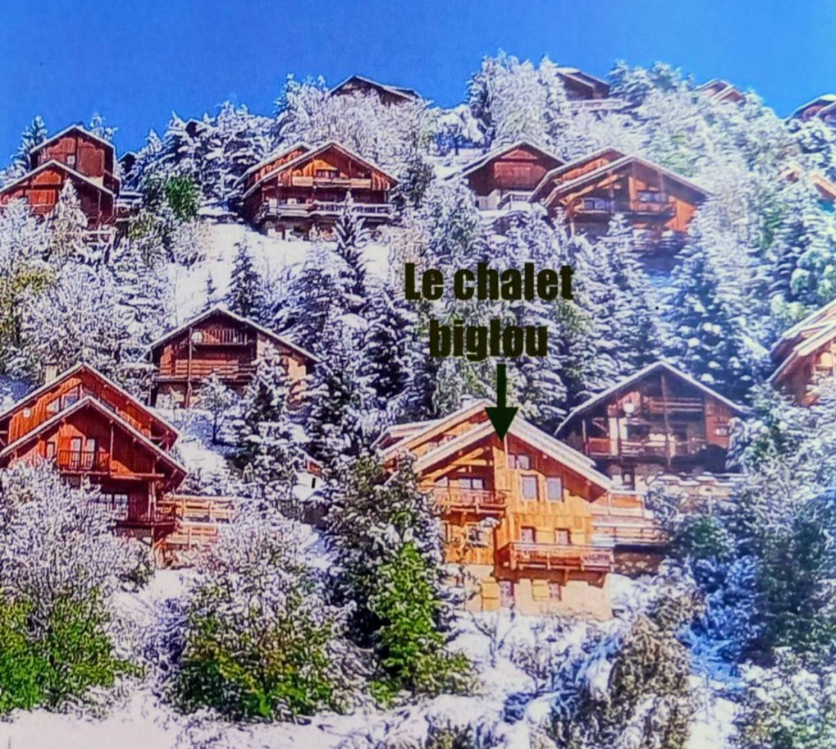 Loue chalet récent et chaleureux - 12 couchages - Domaine Alpe d’Huez, Villard-Reculas (38)