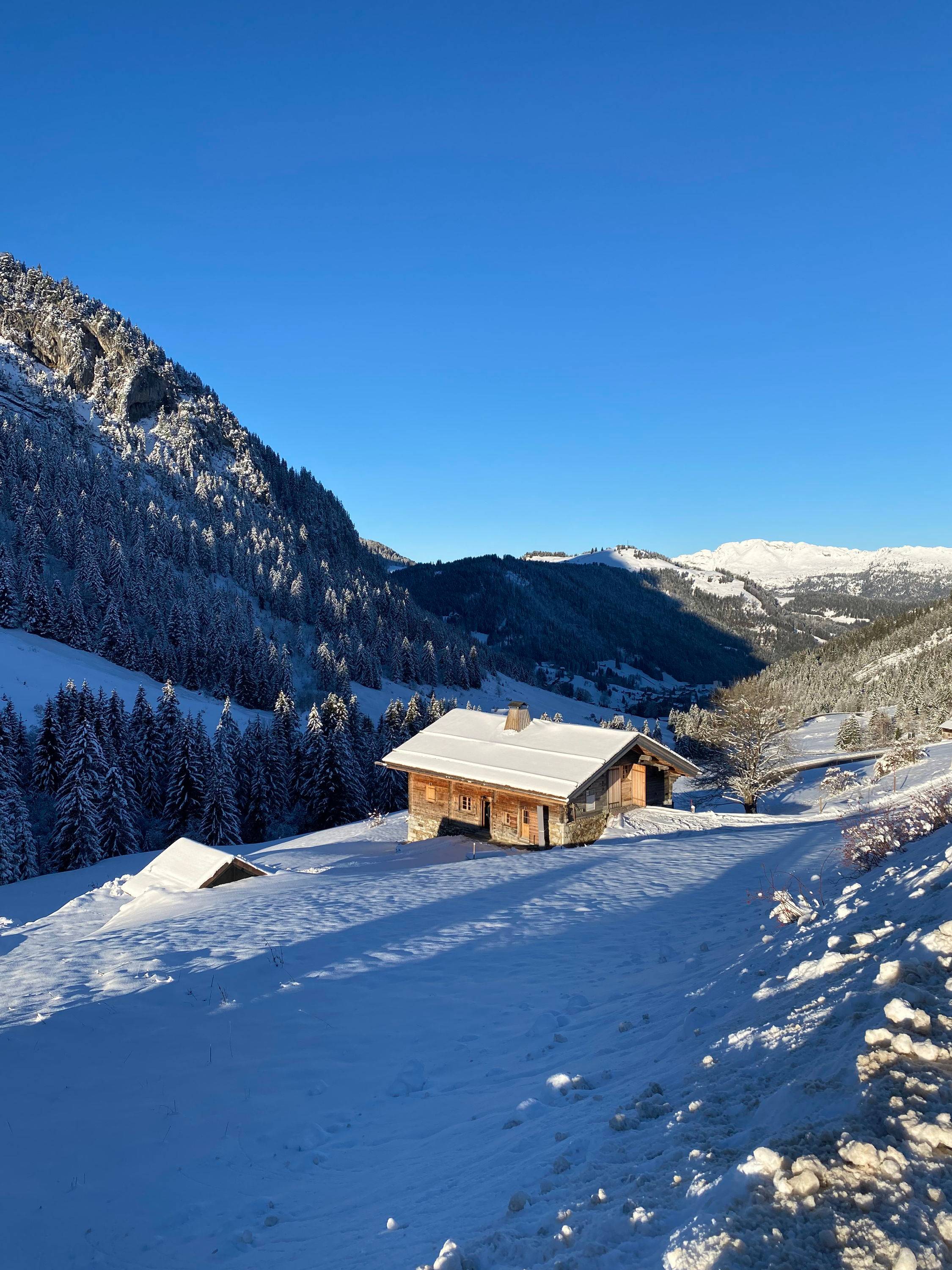 Une photo de l’annonce de location de vacances