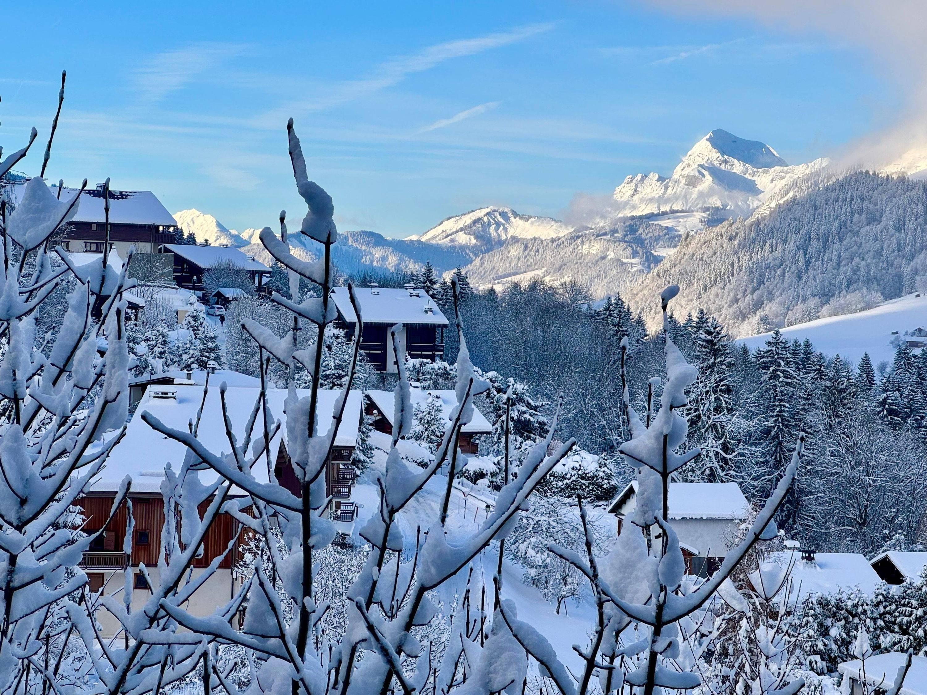 Une photo de l’annonce de location de vacances