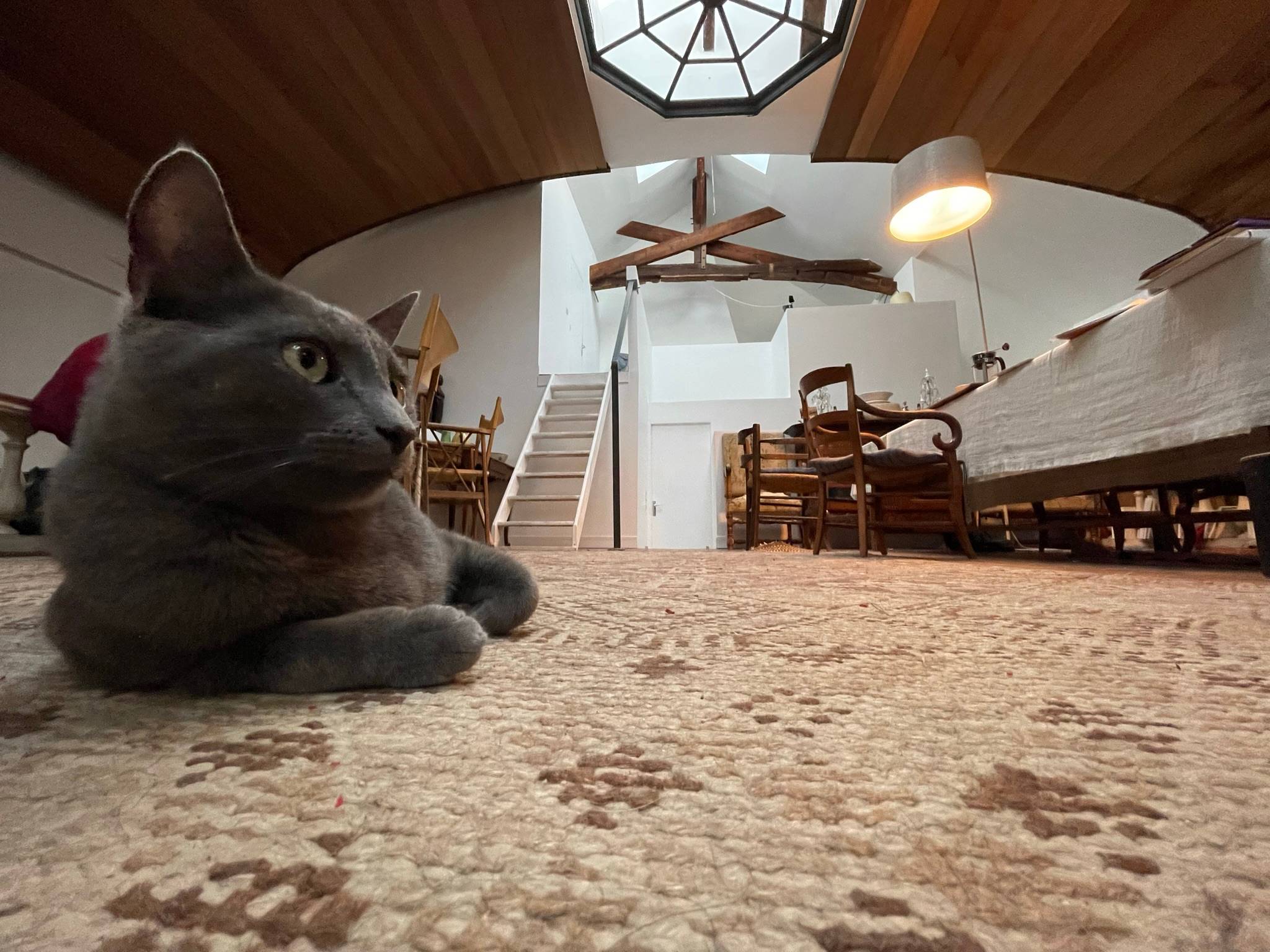 Une photo de l’annonce