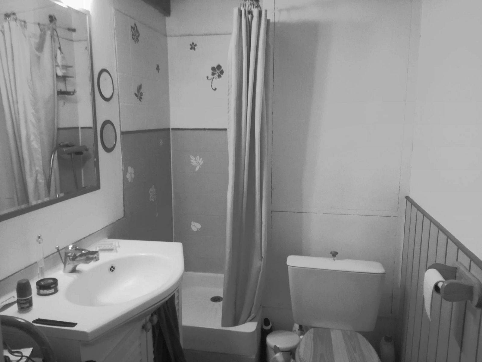 Une photo de l’annonce