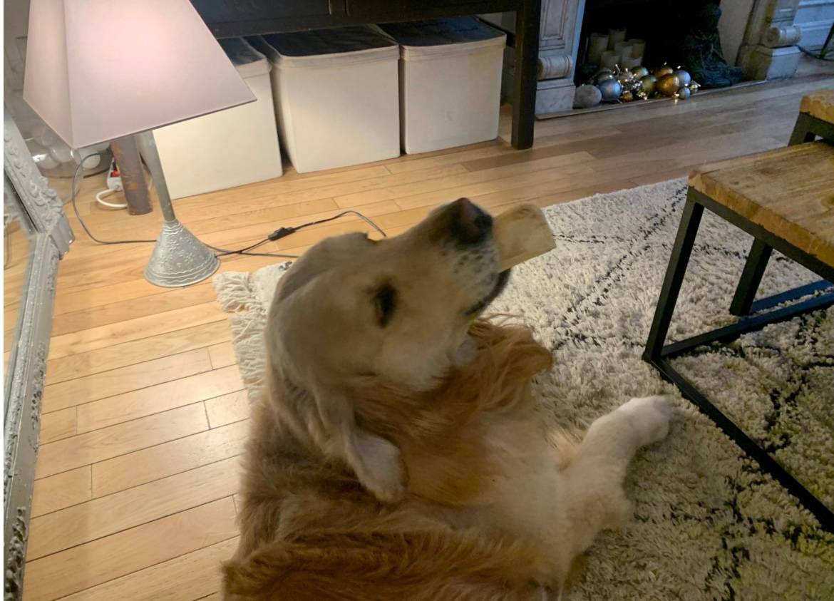 Une photo de l’annonce