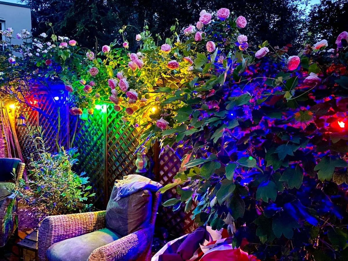 Une photo de l’annonce