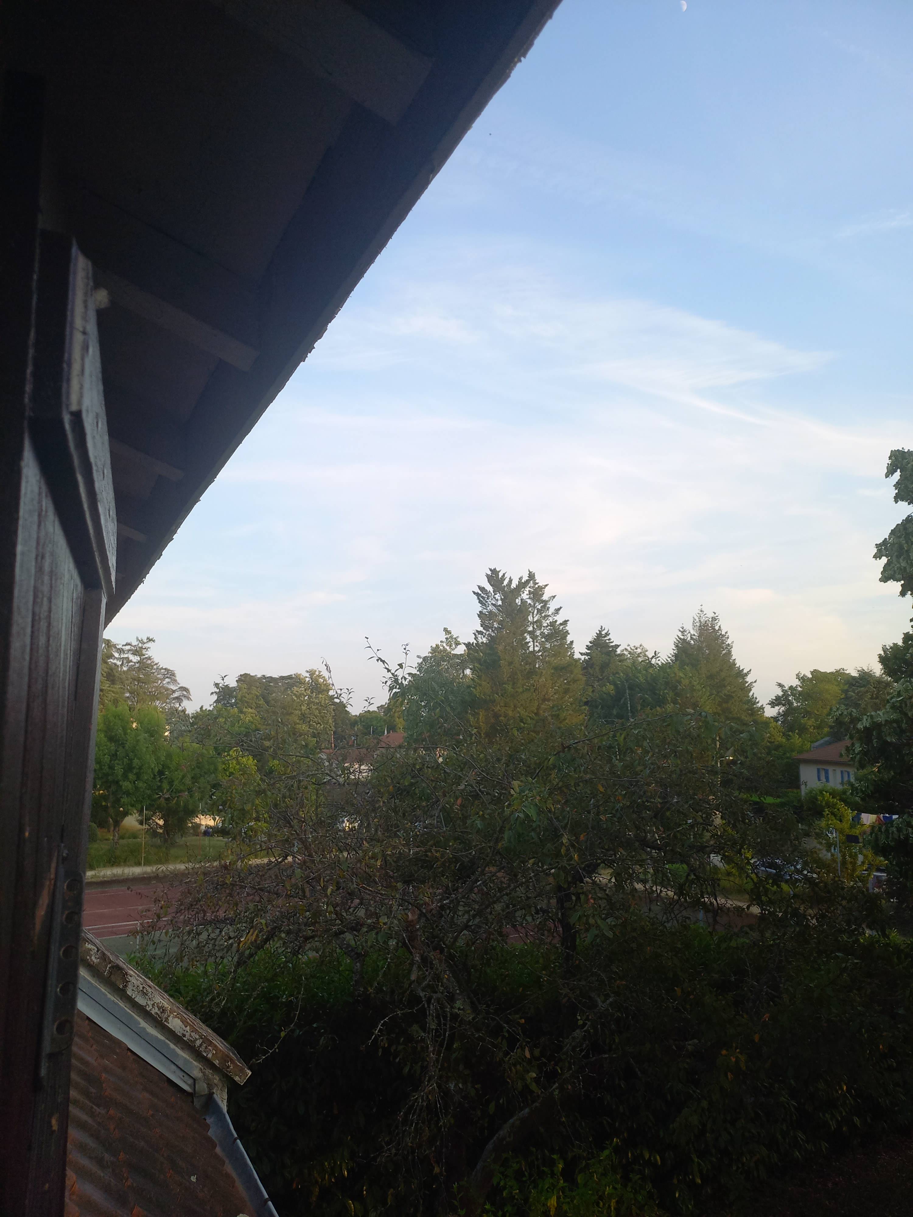 Une photo de l’annonce