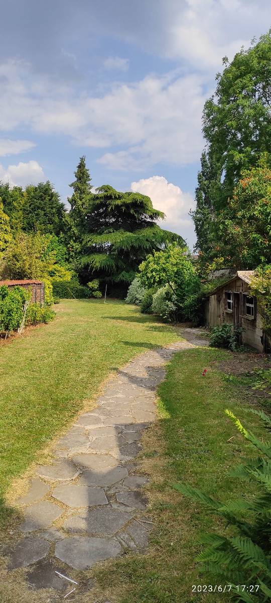 Une photo de l’annonce