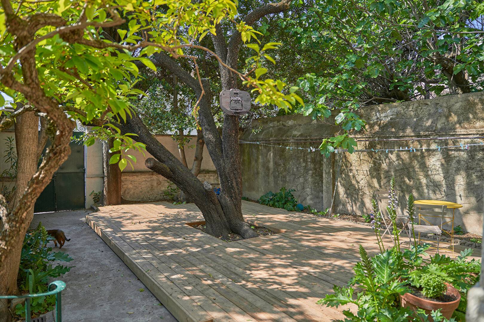 Une photo de l’annonce