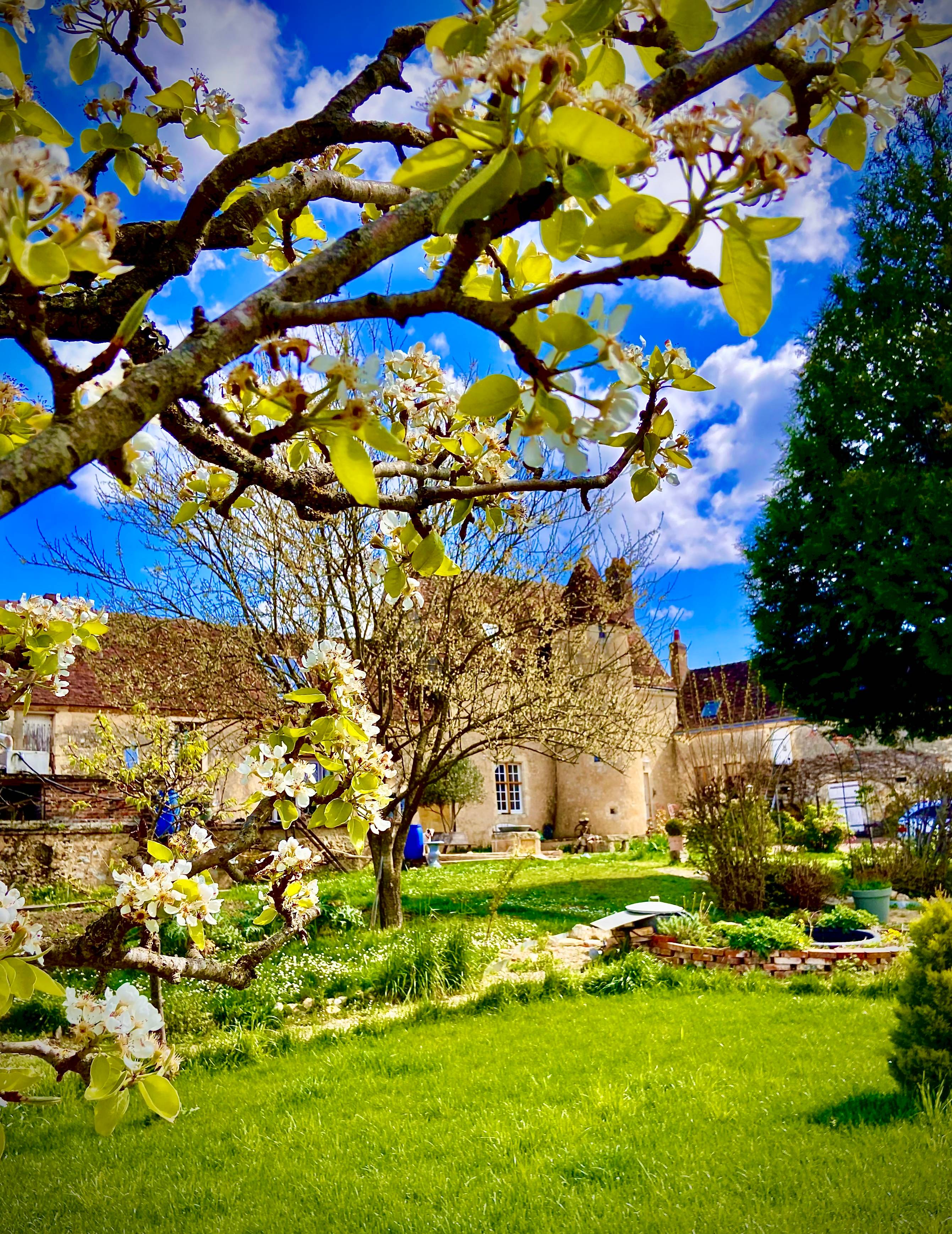 Loue chambre d’hôtes de charme dans le Perche, Ceton, 3 chambres 2 gîtes, 11 couchages