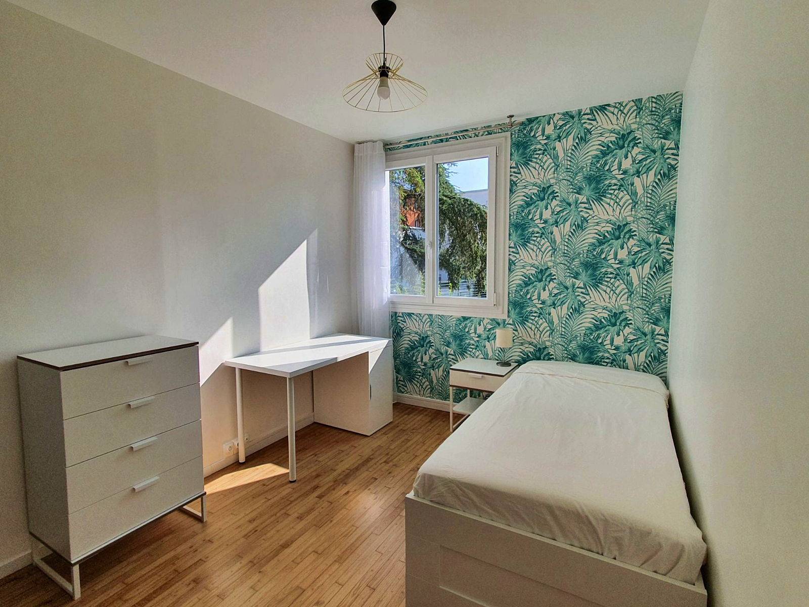 Une photo de l’annonce